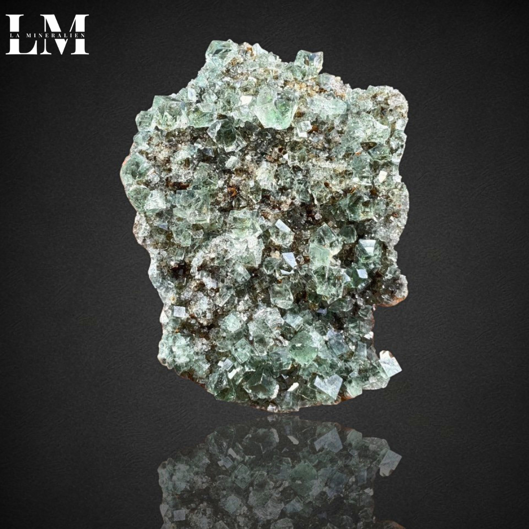 10. 2604_MOP10 (1).png