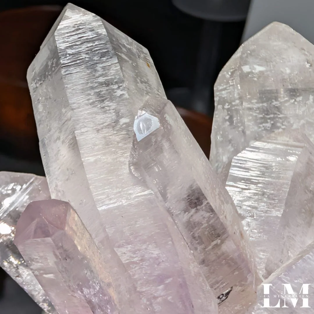 photo_2025-12-26_12-14-28 (3).jpg