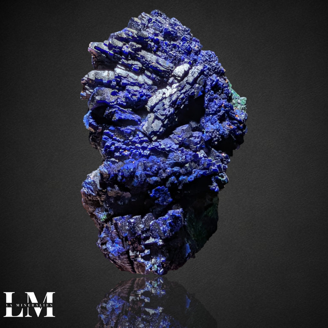 6. 1225_AMC1 (1).png