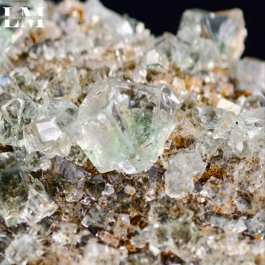 10. 2604_MOP10 (2).png