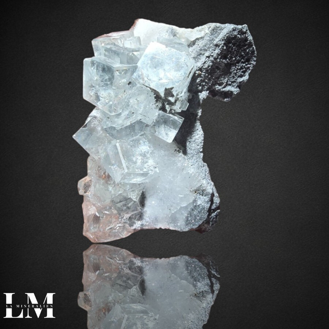 5. 1125_XHL1 (1).png