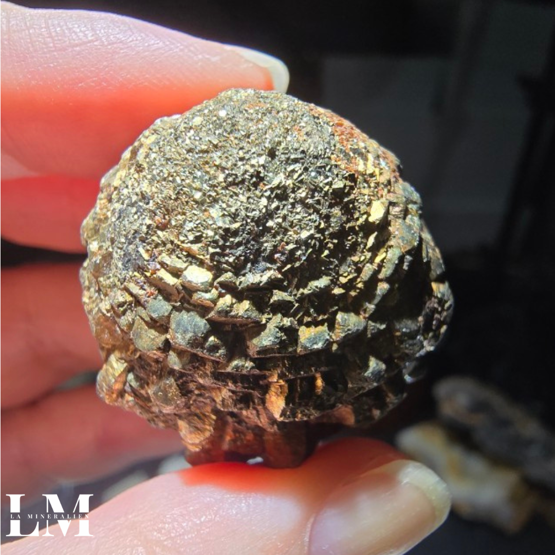 10. 1125_PCC3 (2).png