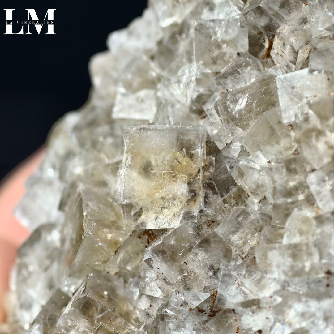 2. 2604_MOP2 (2).png