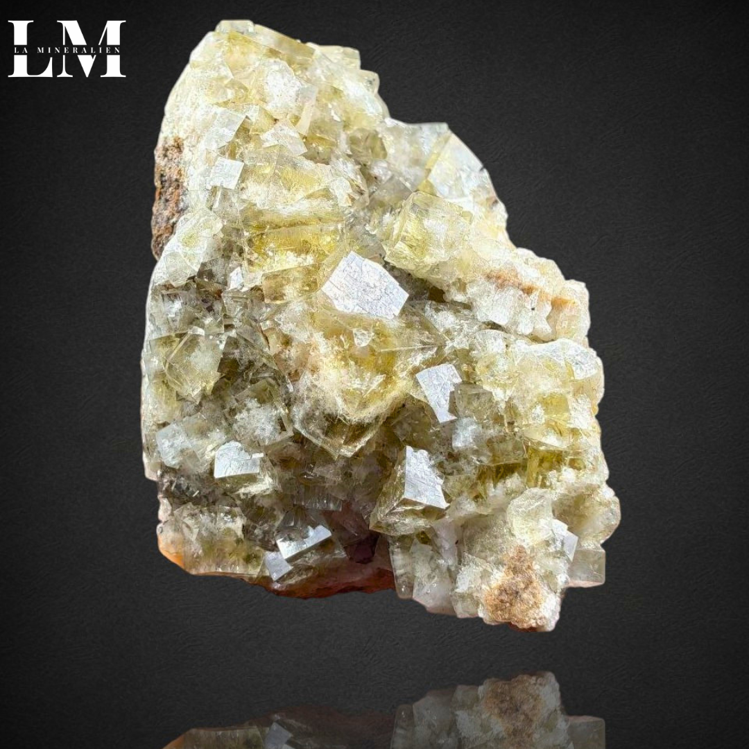 13. 2604_MOP13 (1).png