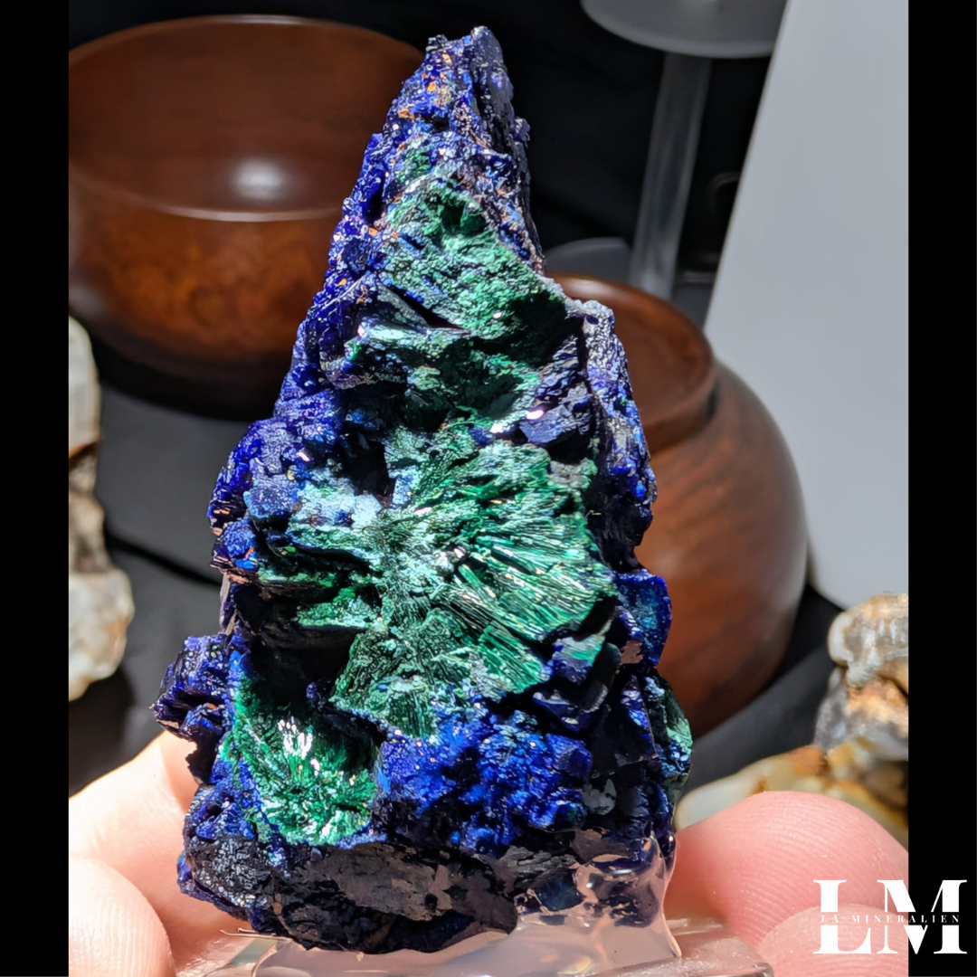 6. 1225_AMC1 (2).png