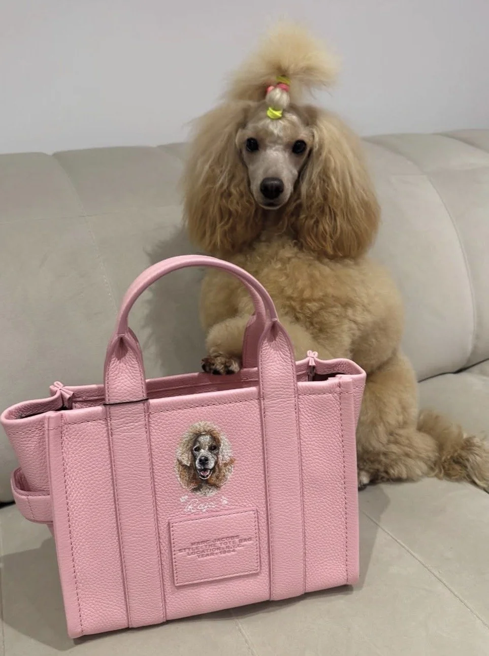 Photo 19-01-2026, 19 43 17.jpg