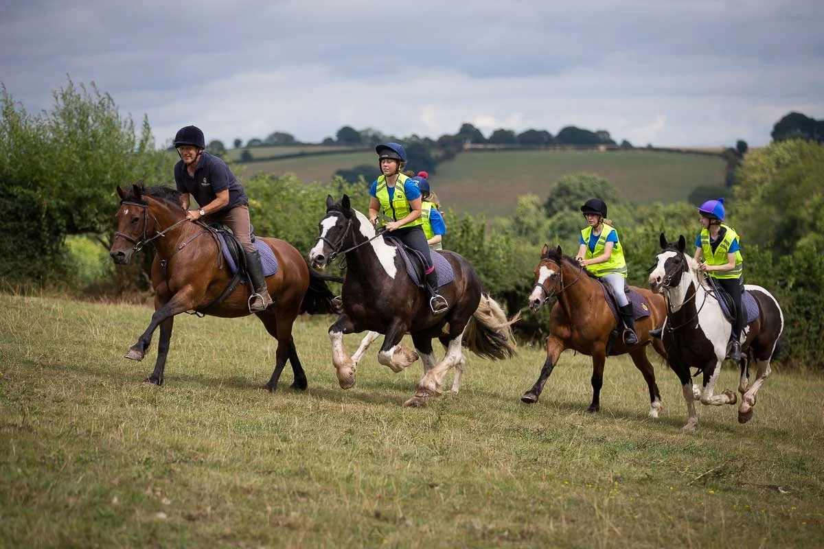 Riding Holidays — TedstoneLogCabins