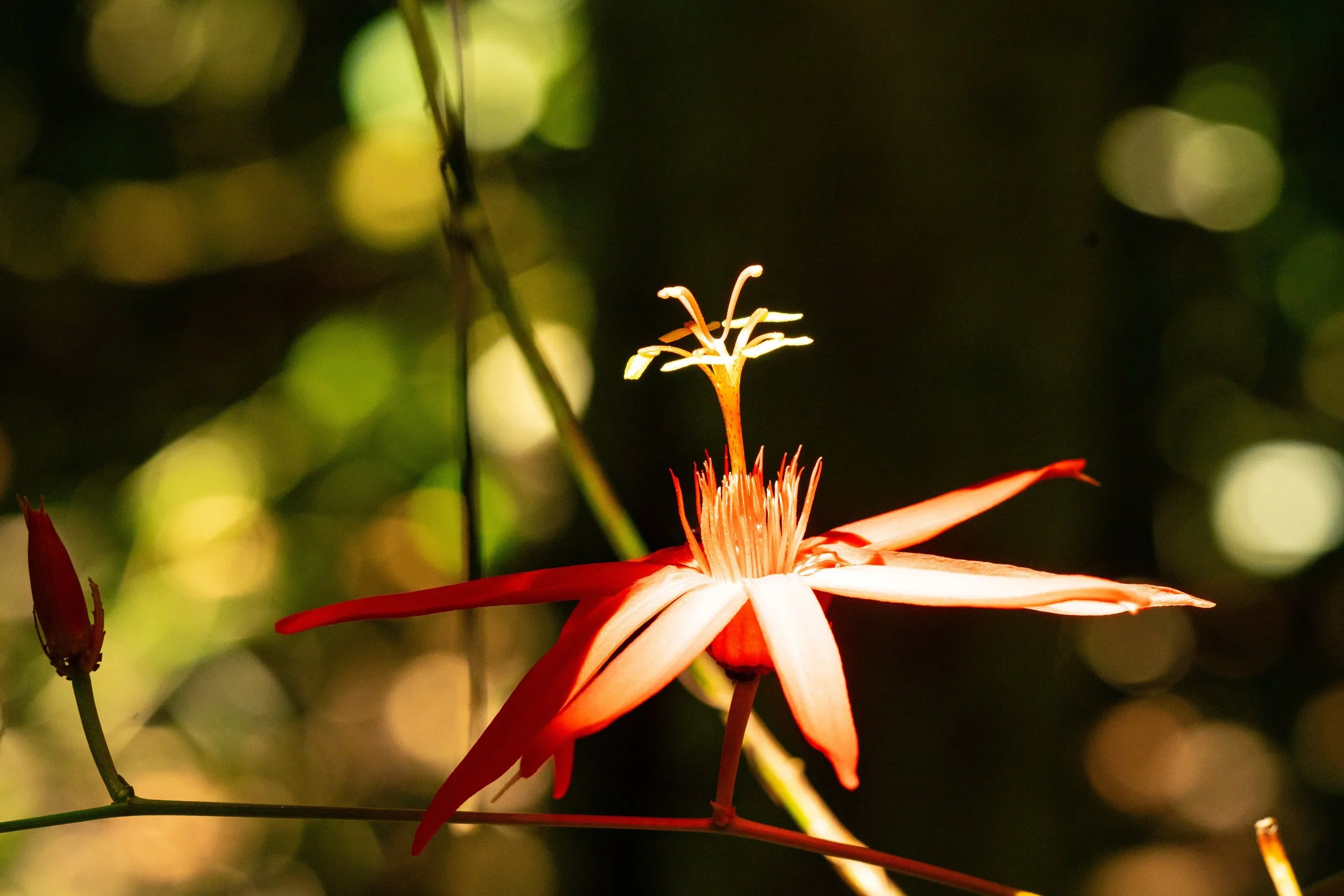 Nature