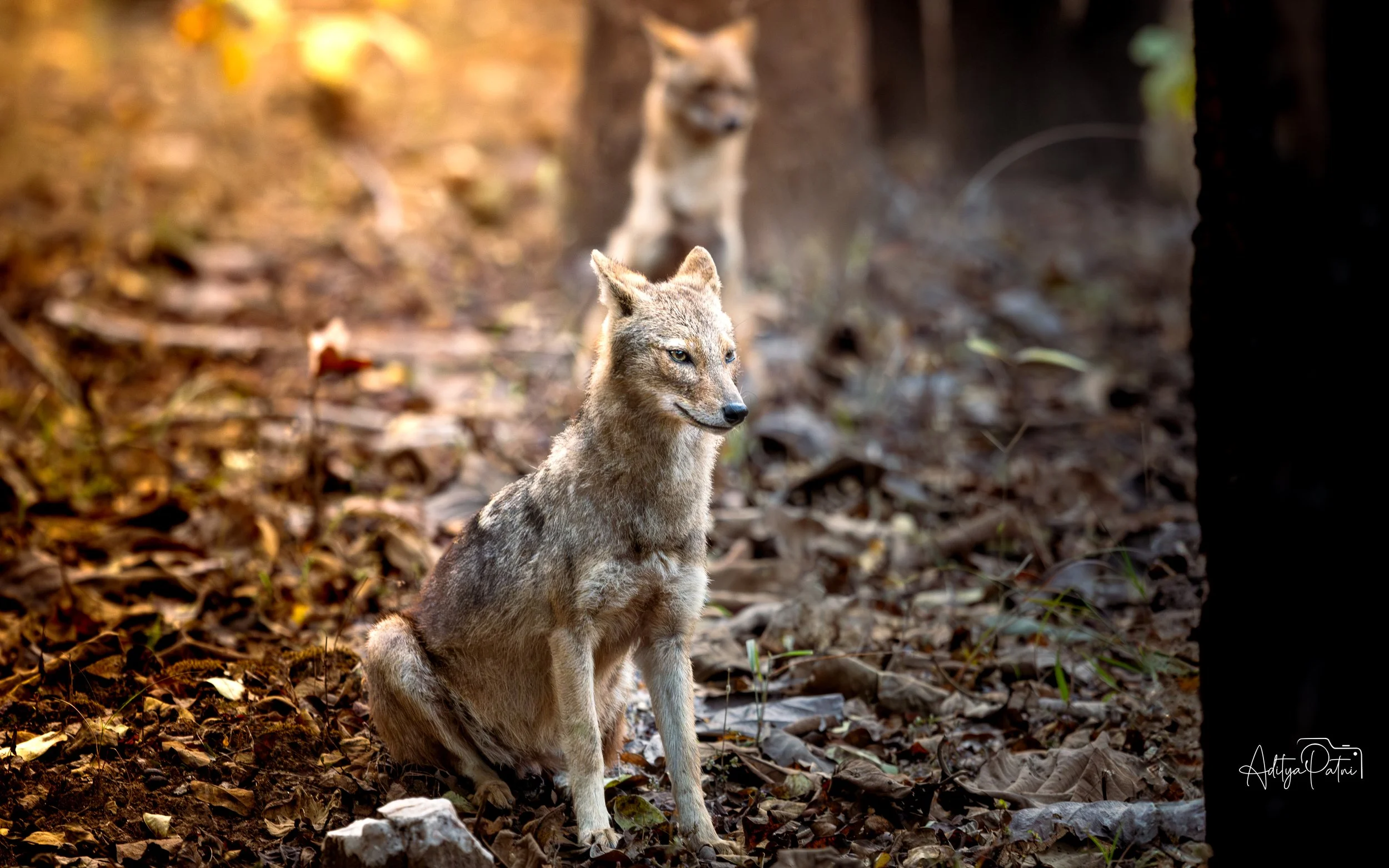 DSC_1536-2.jpg