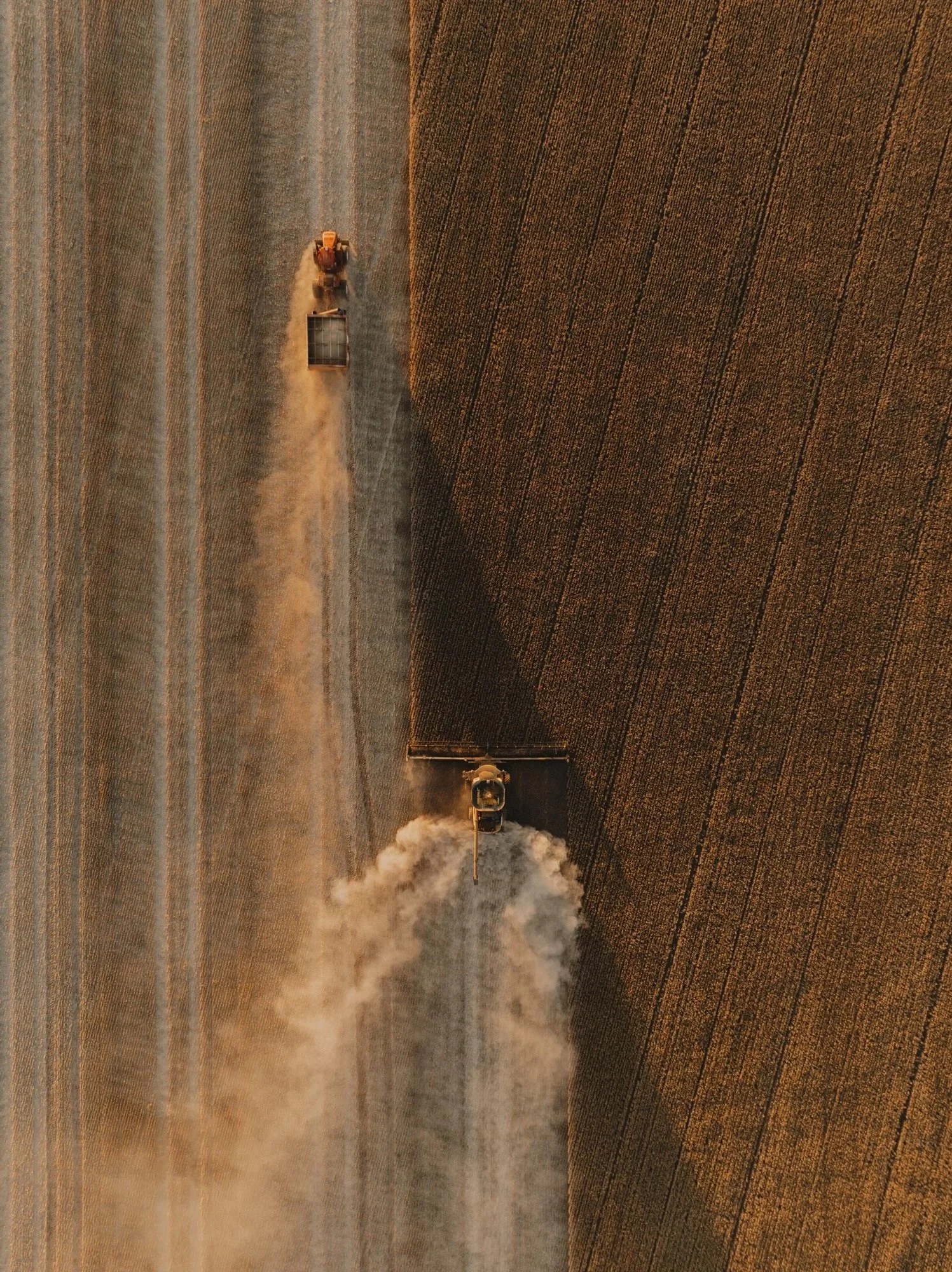 DJI_0837.jpg