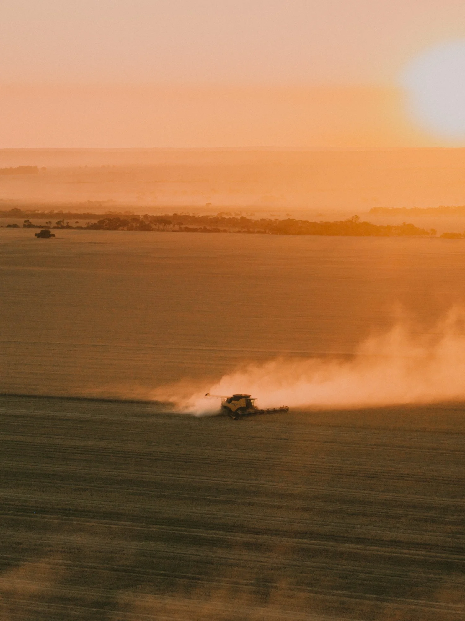 DJI_20251222190712_0038_D.jpg