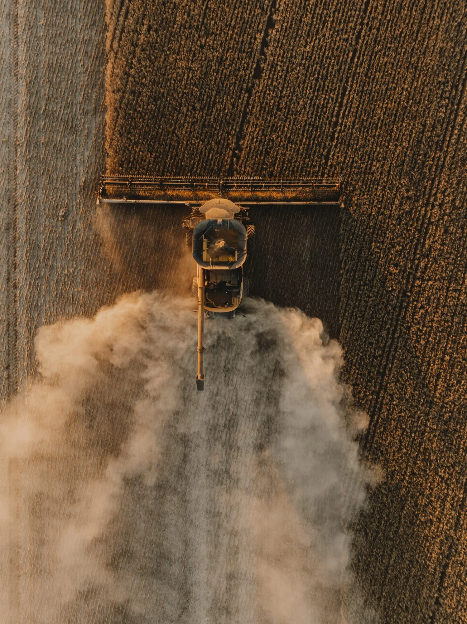 DJI_0843.jpg