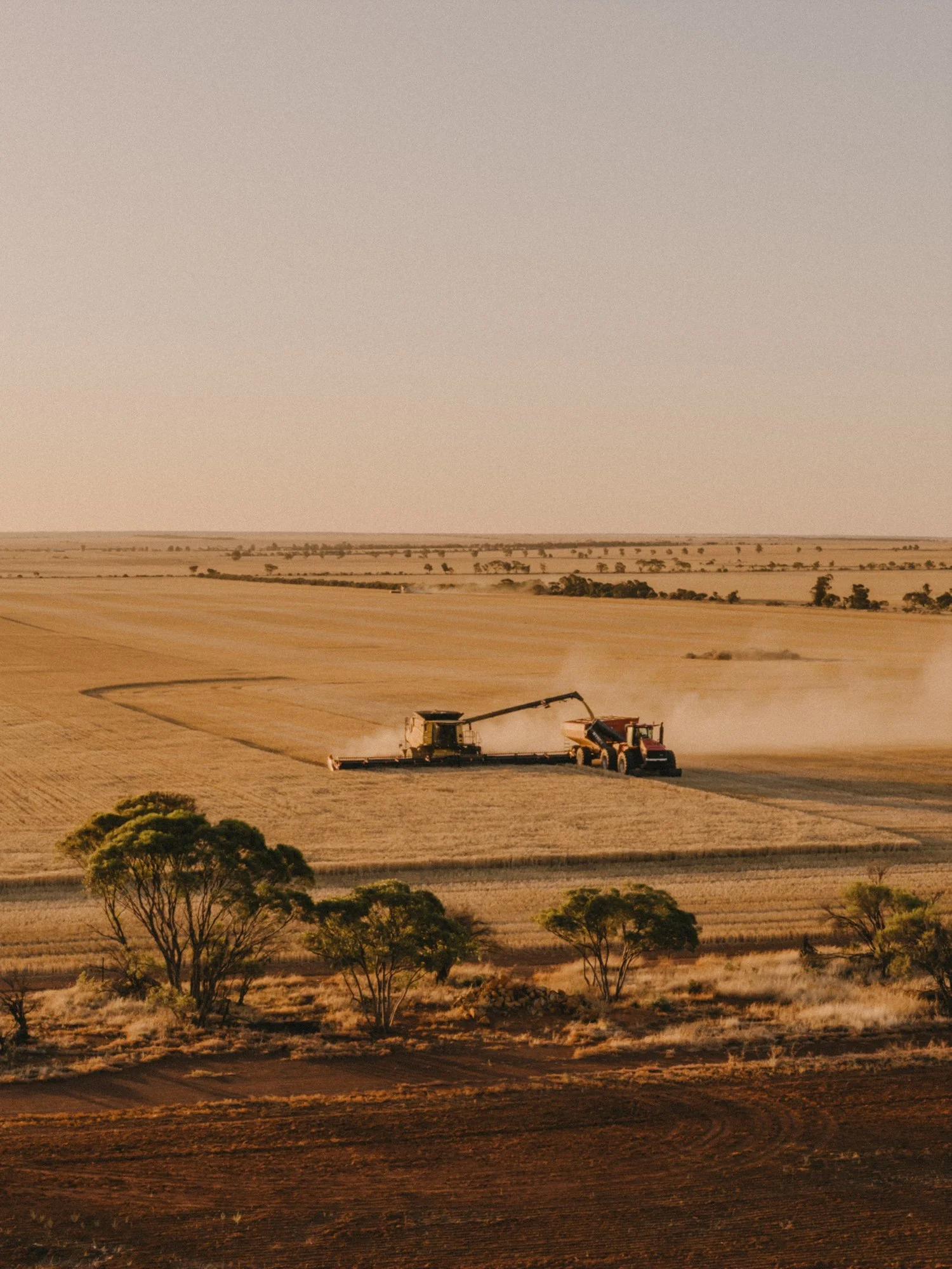 DJI_20251217185245_0022_D.jpg