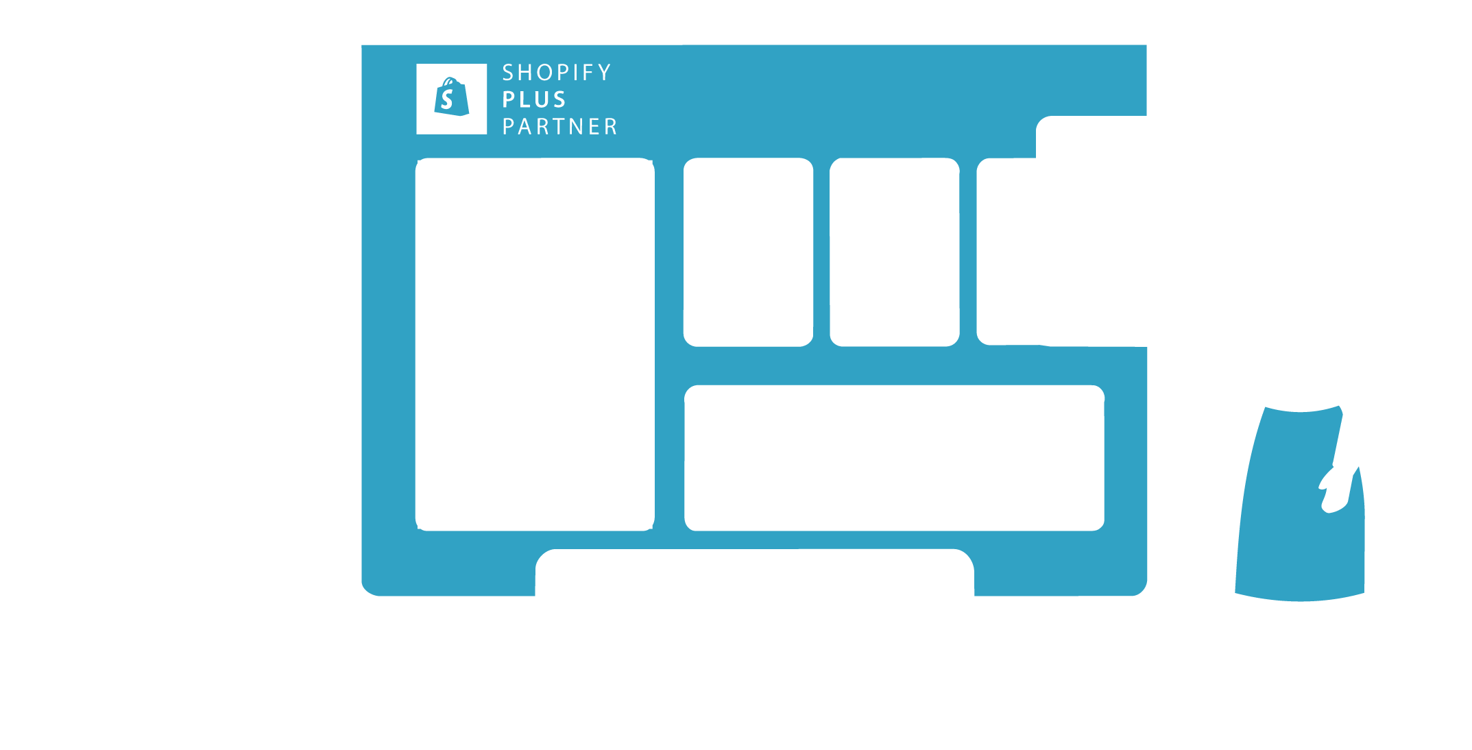 Shopify Plus Partner
