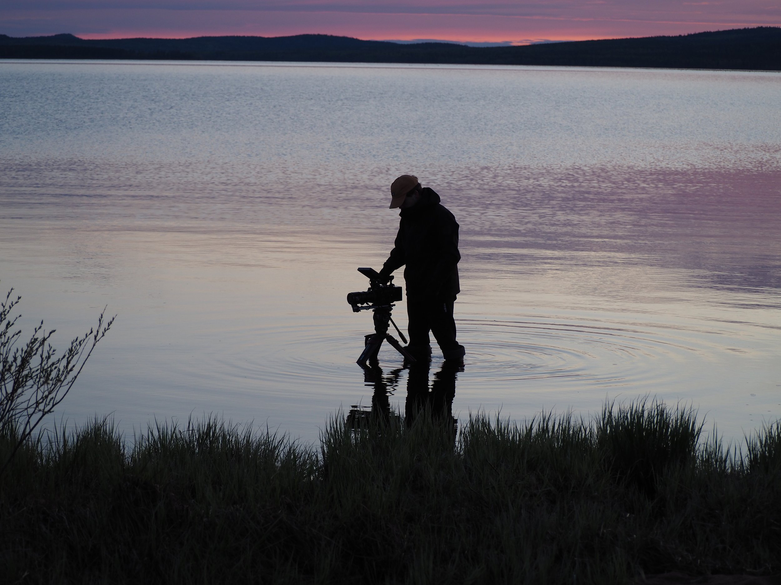 kuva: Nenna Piispanen