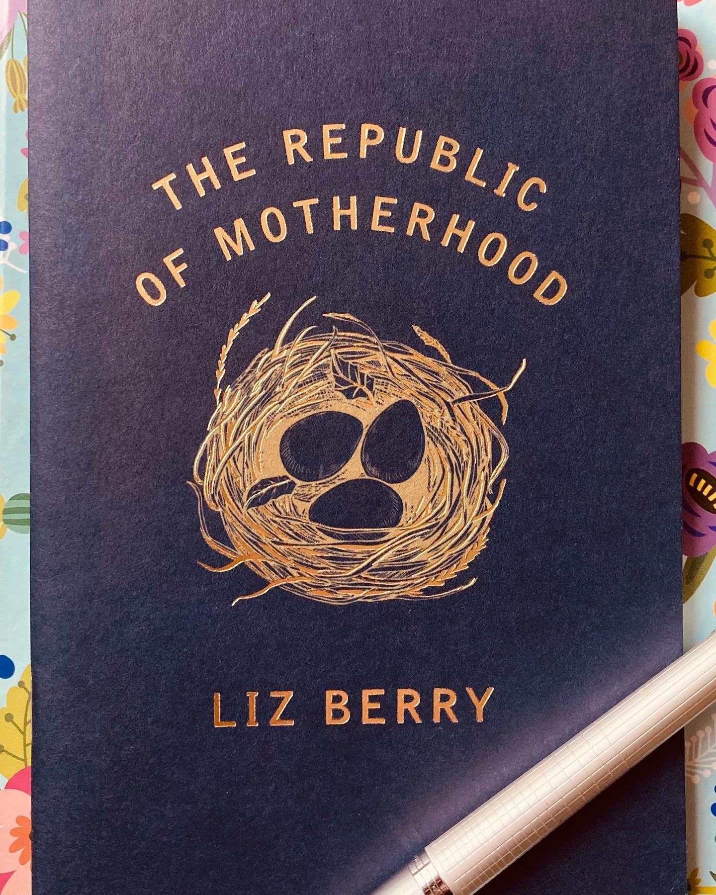 Just finished reading this brilliant collection by @misslizberry The beautiful title poem &lsquo;The Republic of Motherhood&rsquo; will forever stay with me. Thanks @sineadgleeson for inspiring me to read this following your recent post.