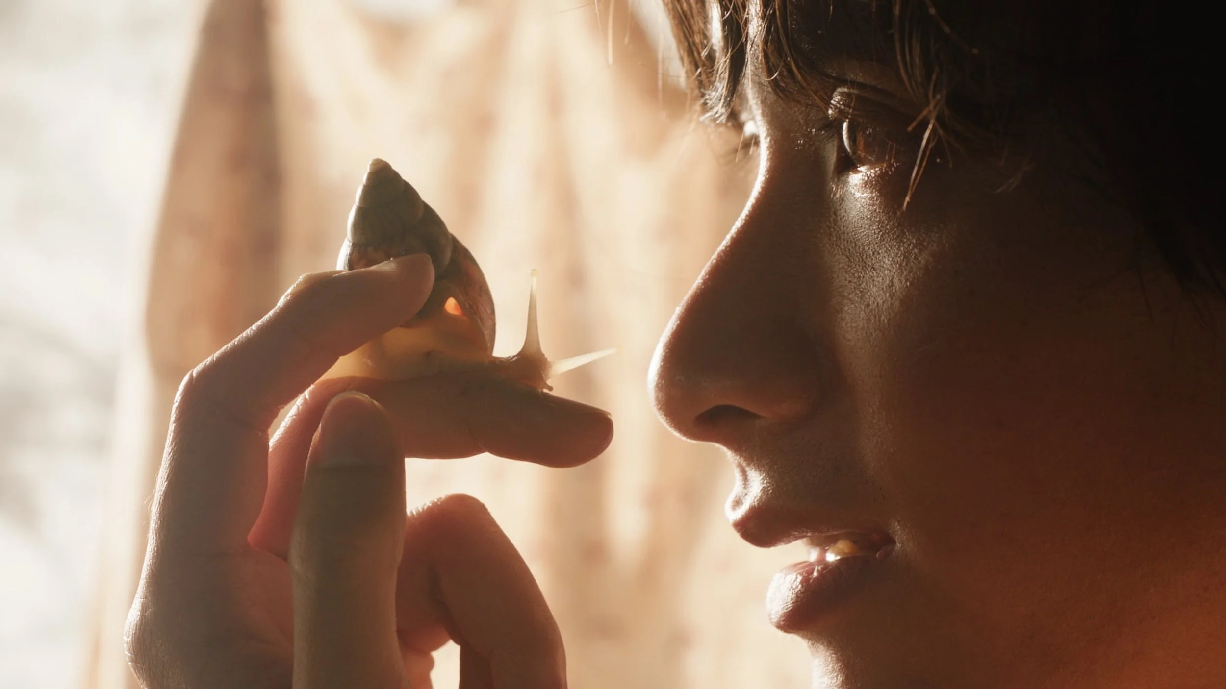 film-court-metrage-the dream is a snail4.jpg