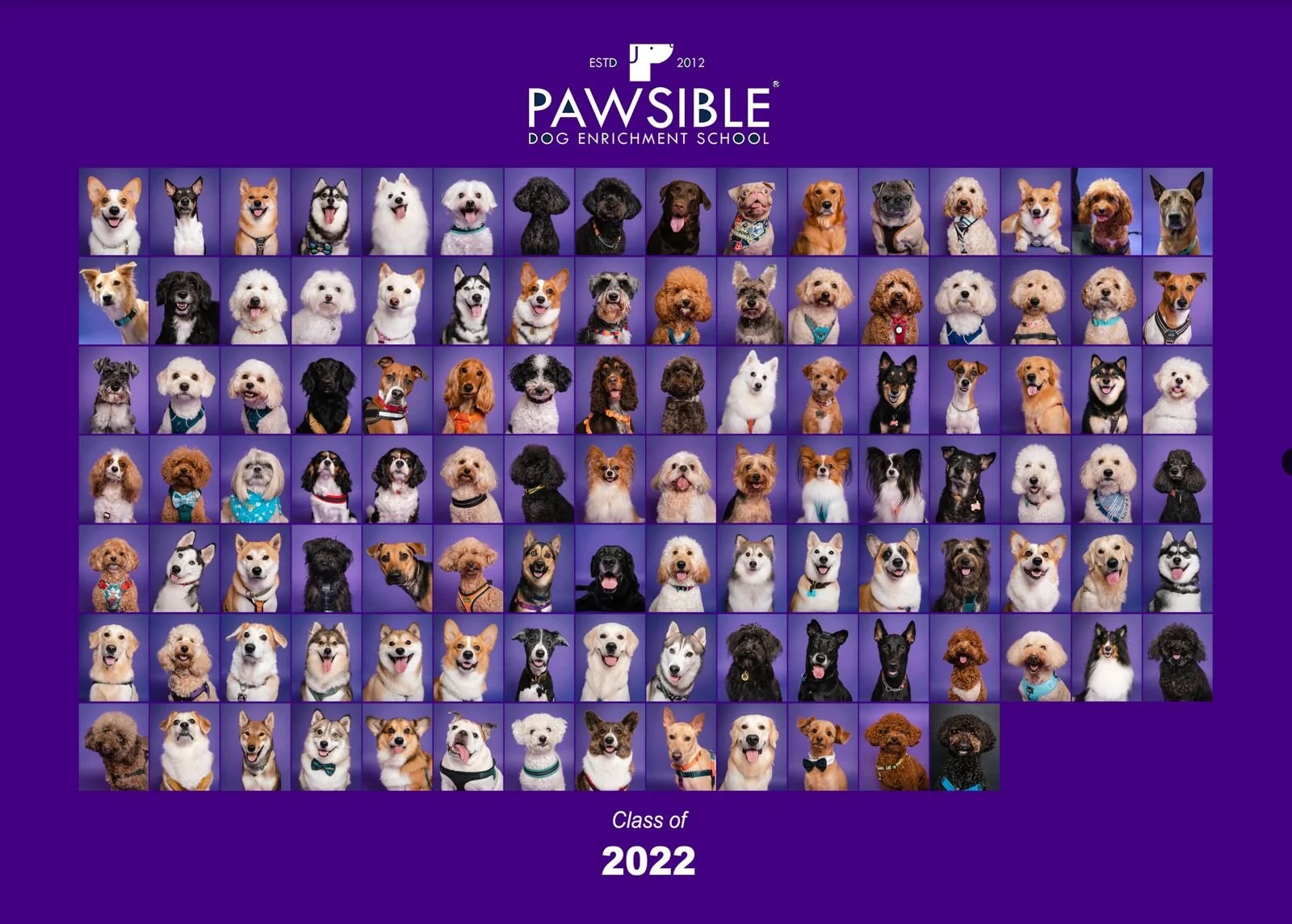 Pawsible 2022.jpeg