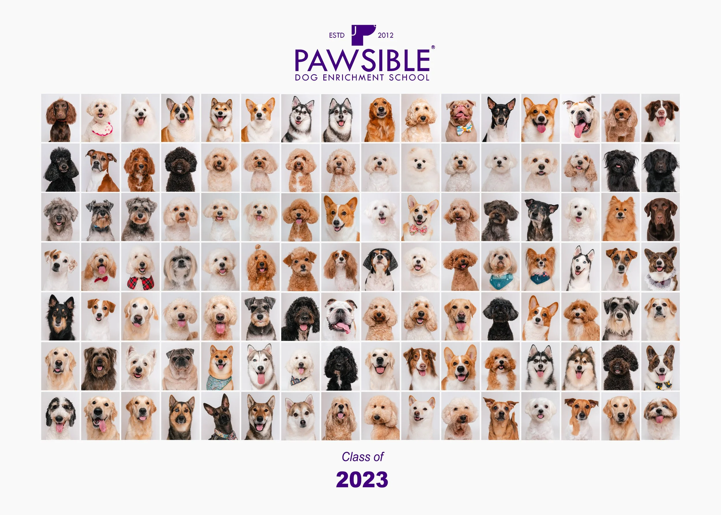 Class Photo Collage 2023.jpg
