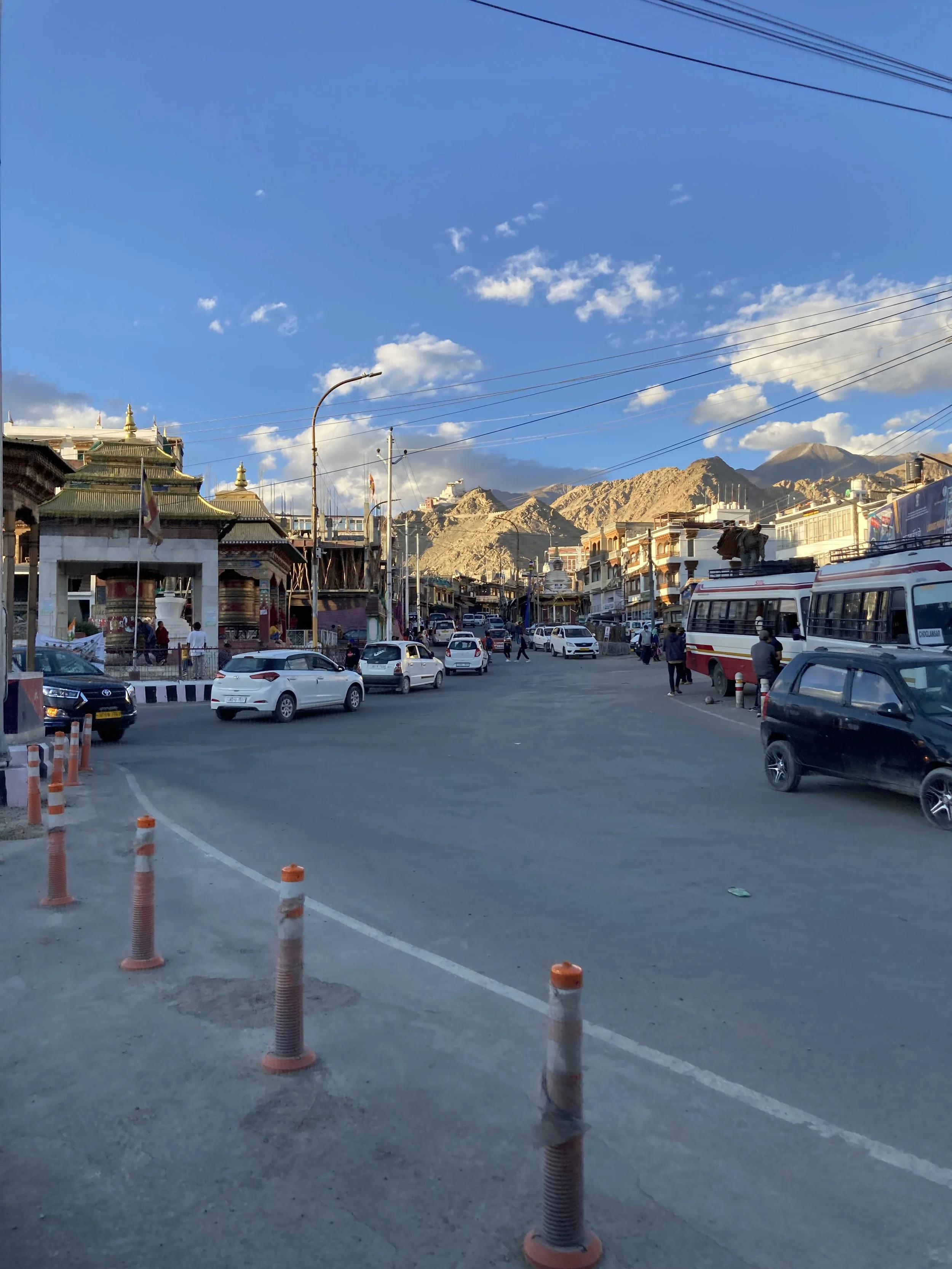 Companionship As Practice: Transforming the Field through Youth Participatory Action Research with a Pastoral Community in the Indian Himalayas