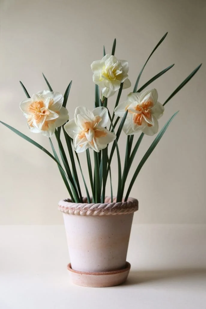 Bergs Potter Emilia Raw Rosa Set