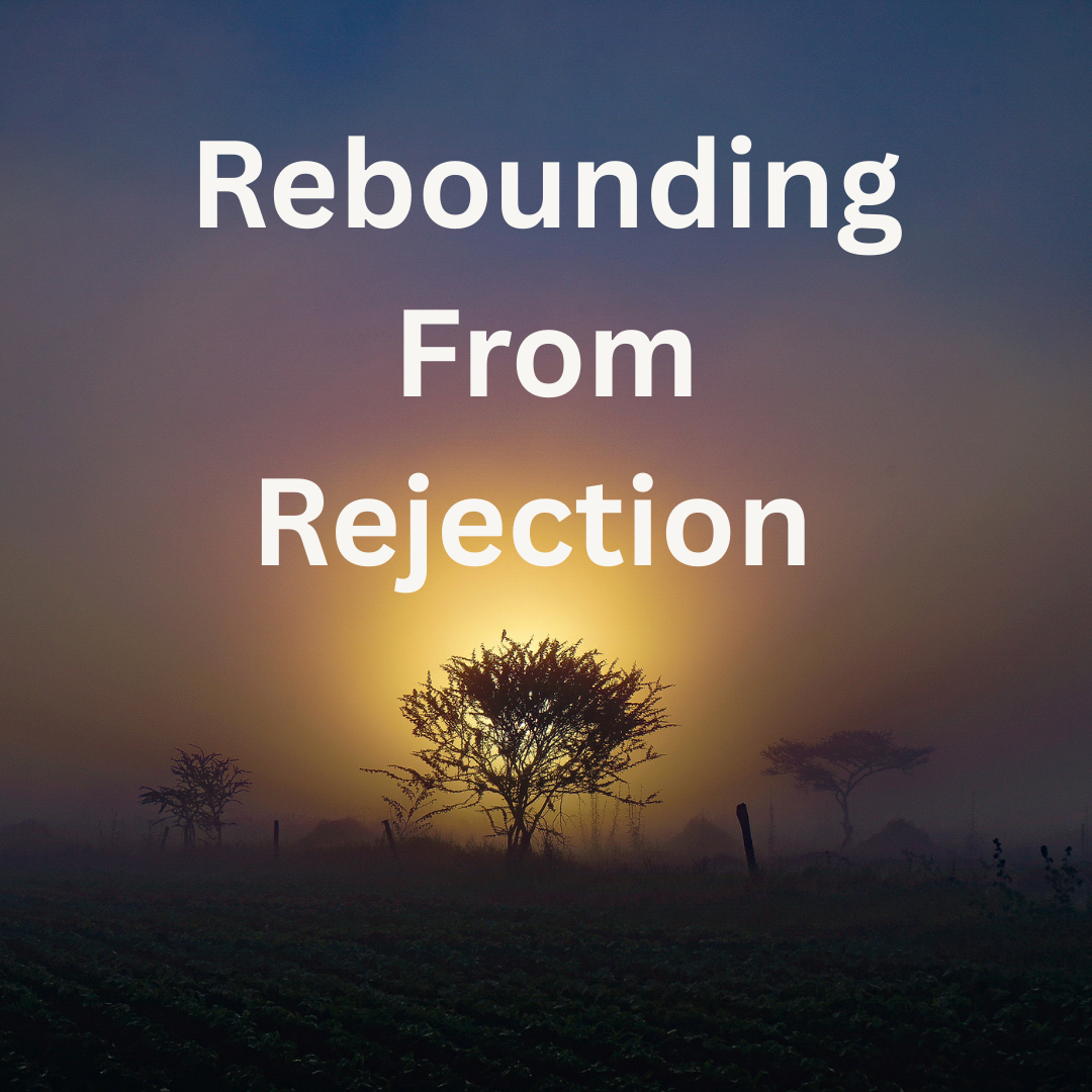 “Rebounding From Rejection” Part 3: The ‘What You Do Next’ Principle