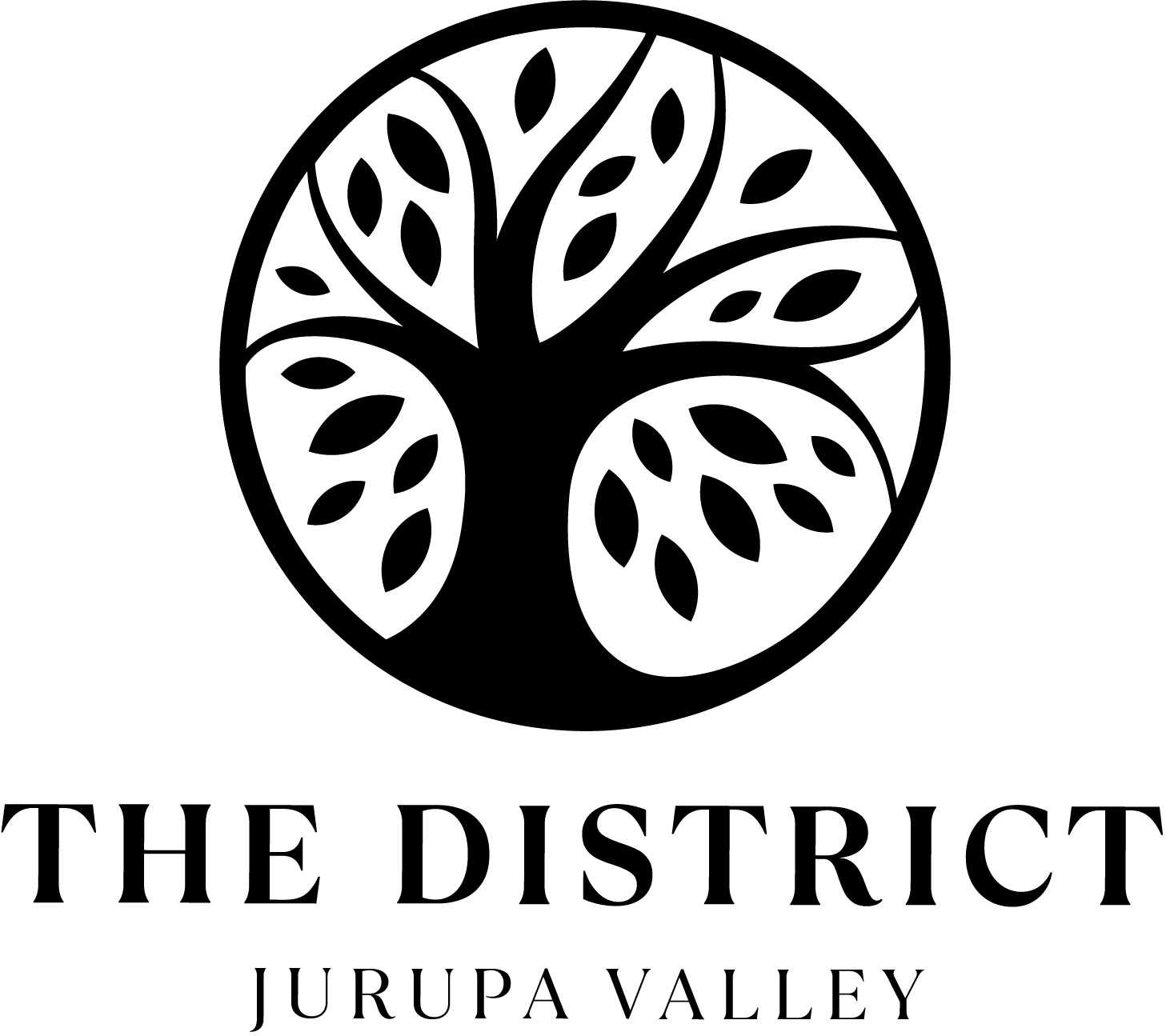 The District logo.png
