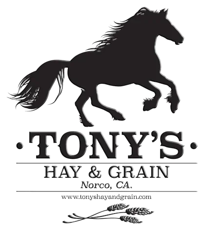 Tony's.webp