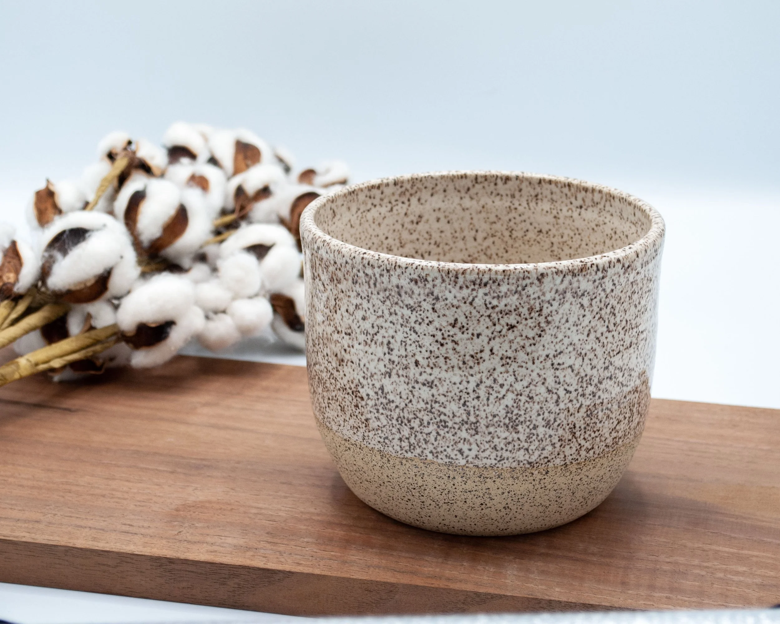 Planter/Utensil Holder