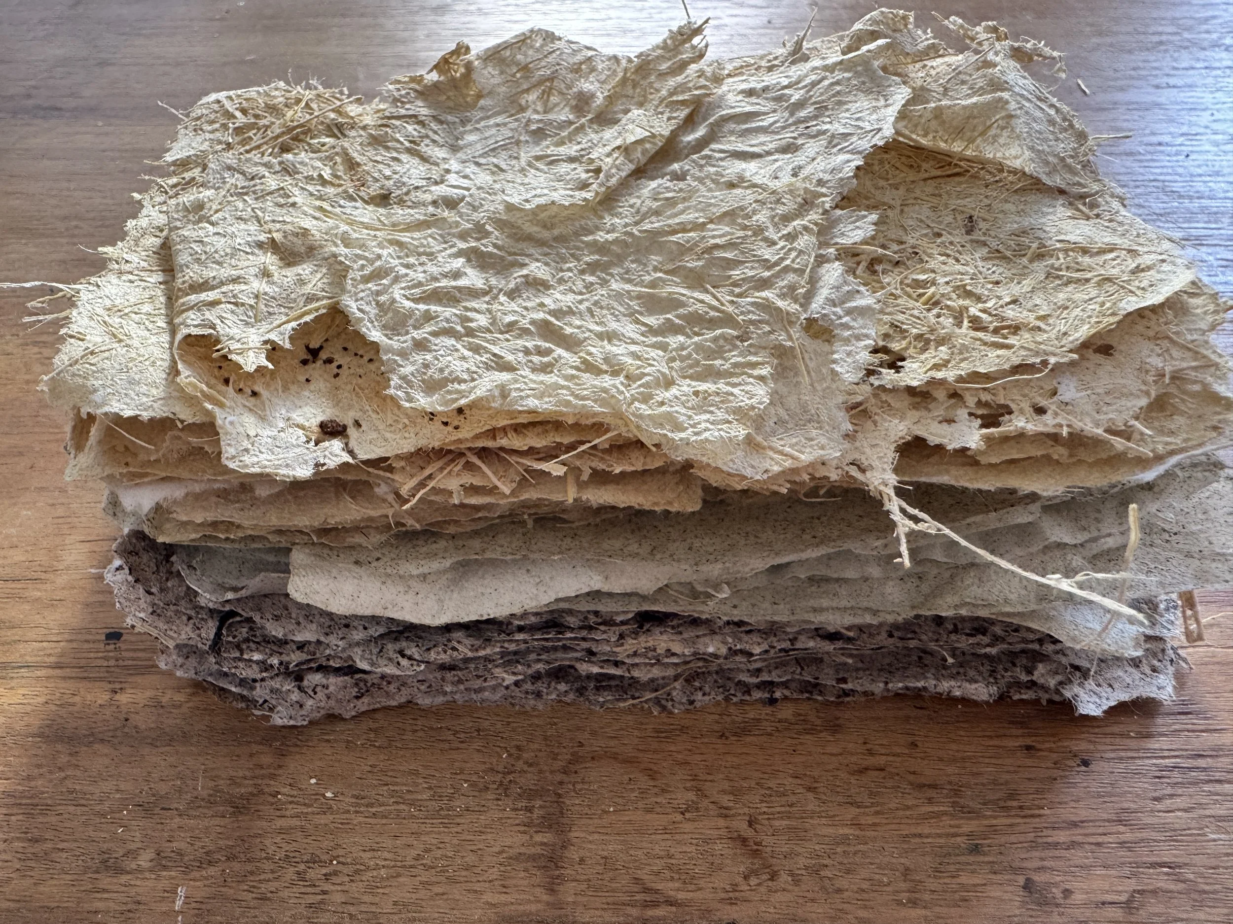 stack of papers made from food waste: corn husks, alfalfa, herbs from tea blend, decayed banana peels. 