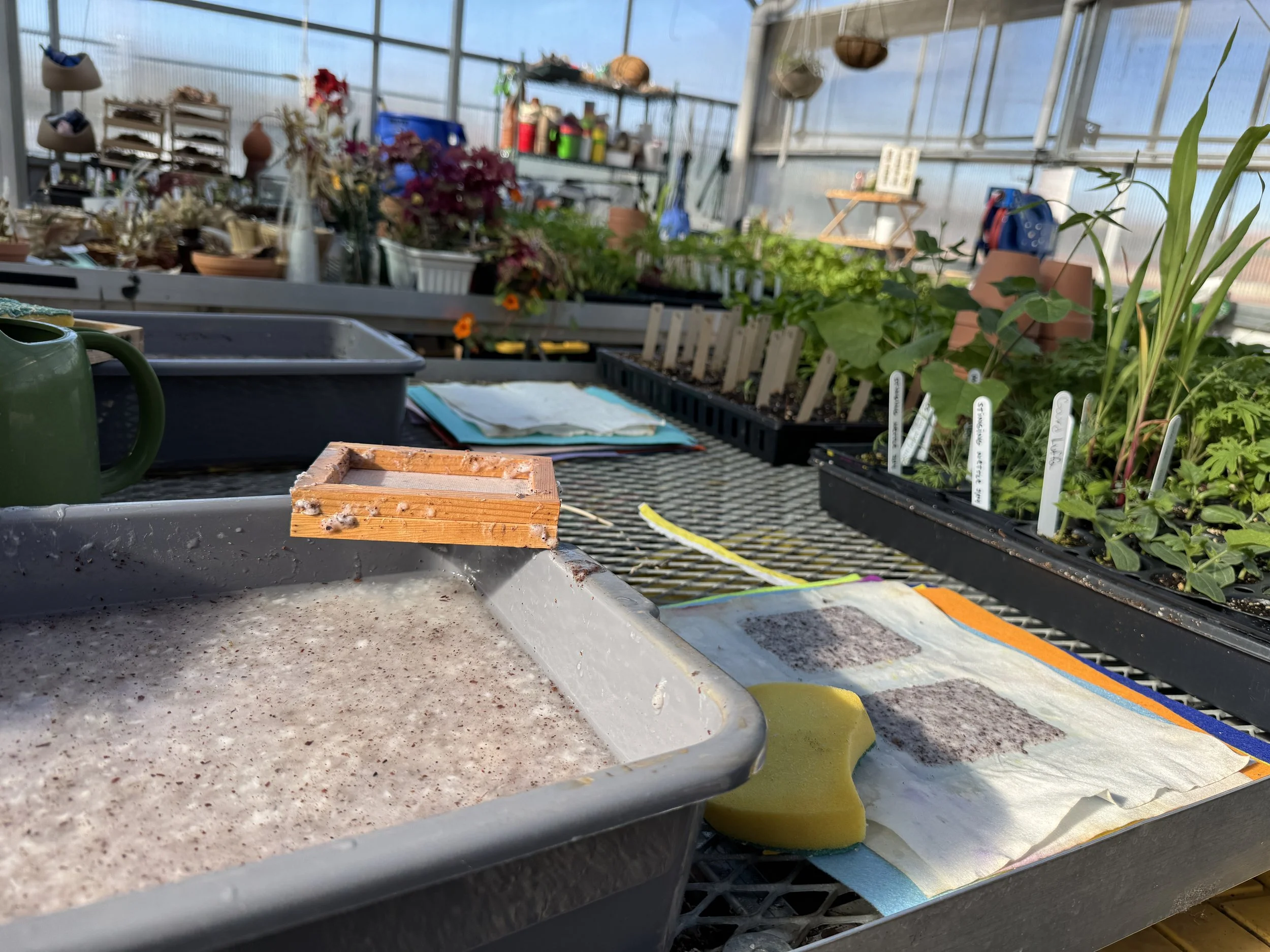 a vat of upcycled papers, food scrap, and wildflower seeds. 