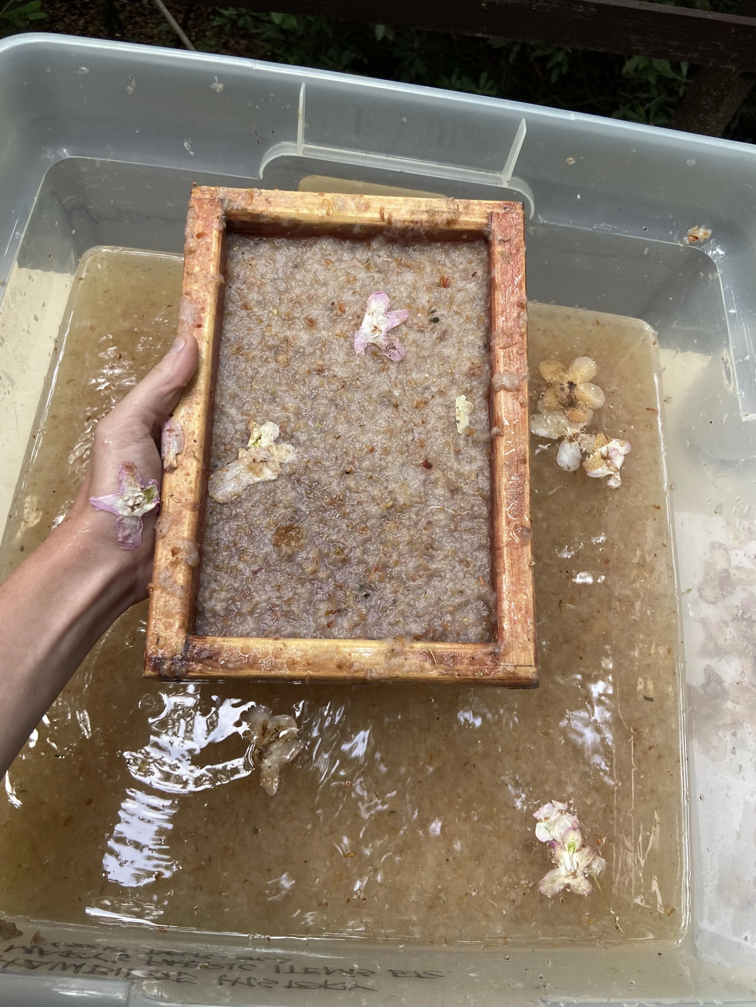 papermaking with rhododendron flowers. 