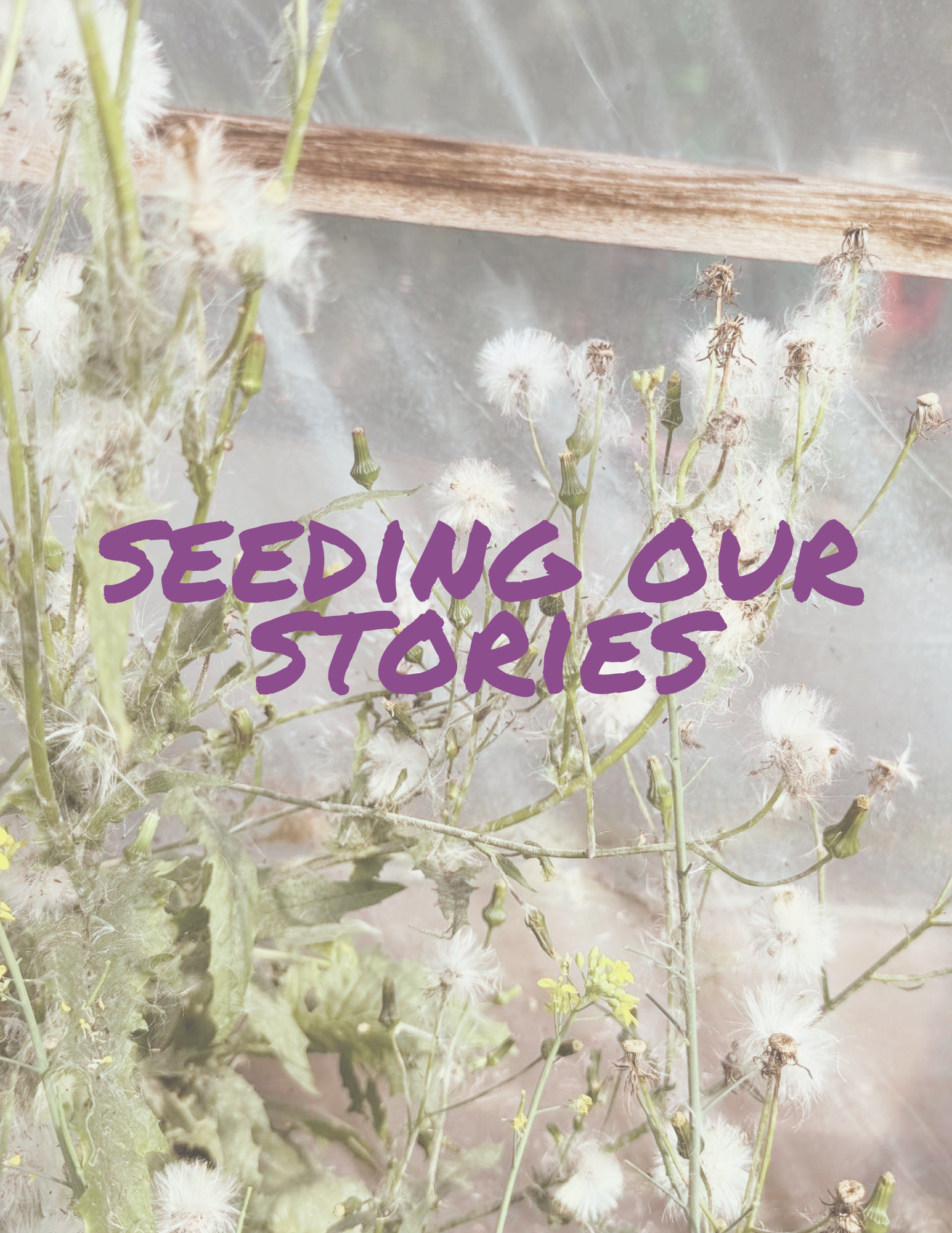 Seeding Our Stories