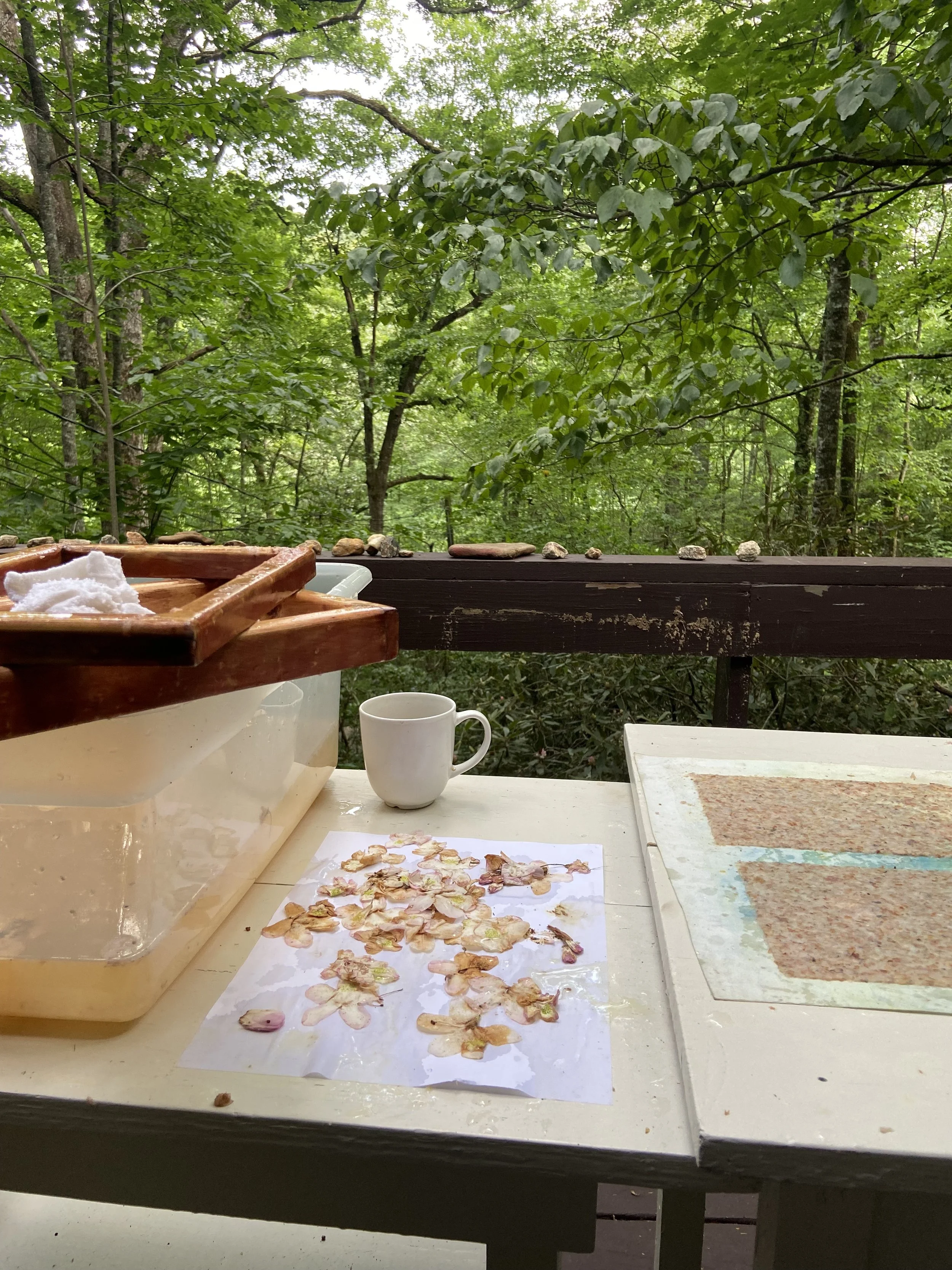 papermaking with rhododendron, outside, allowing wind to carry debris and residue into the vat. 
