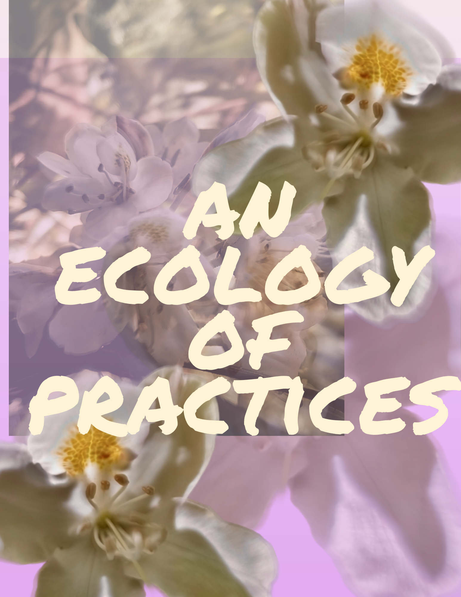 an Ecology of Practices