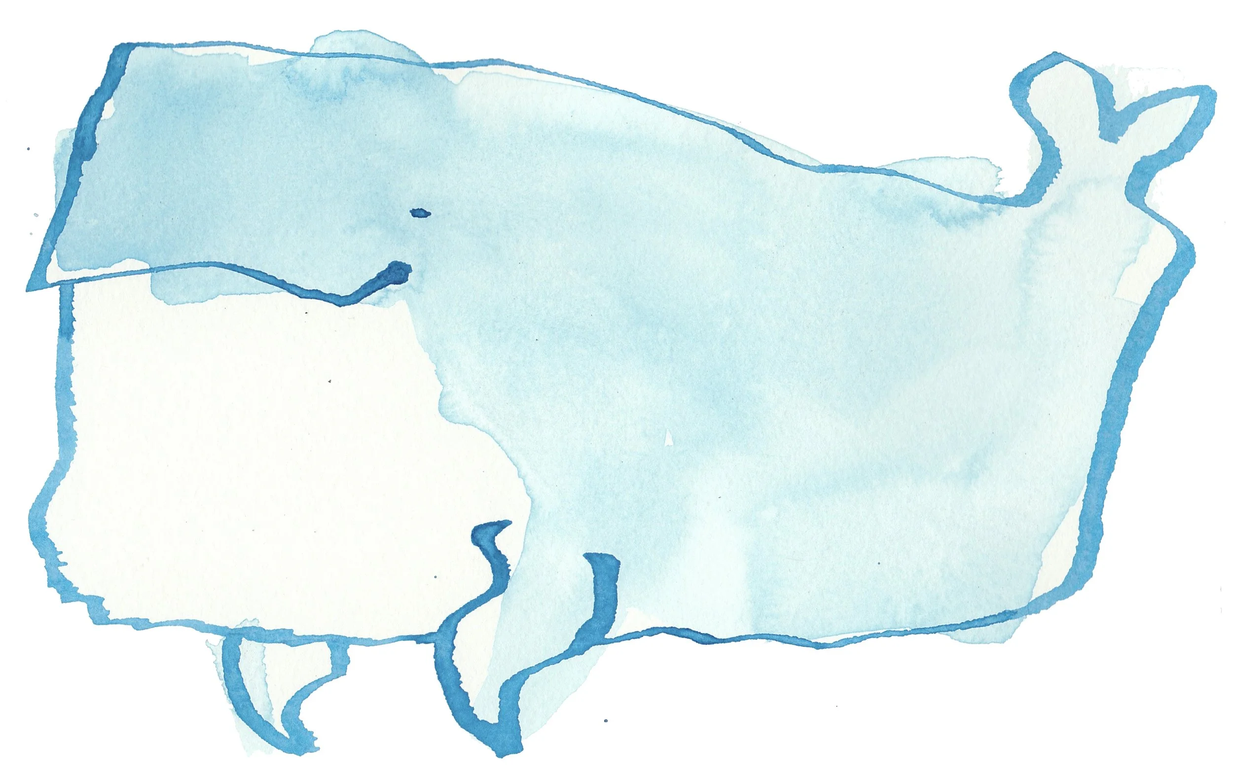 whale.jpg