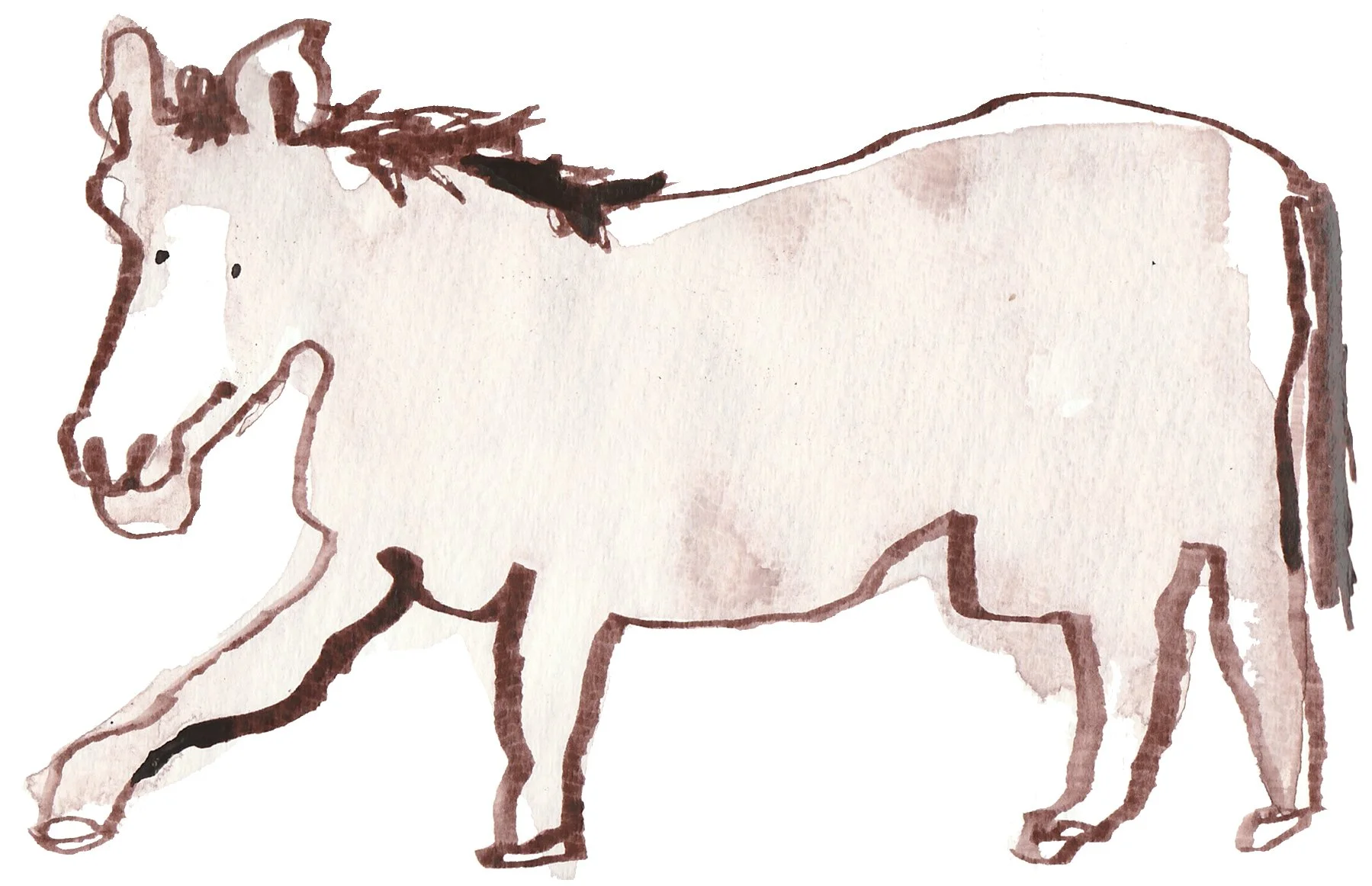 HorseDrawingTay.jpg
