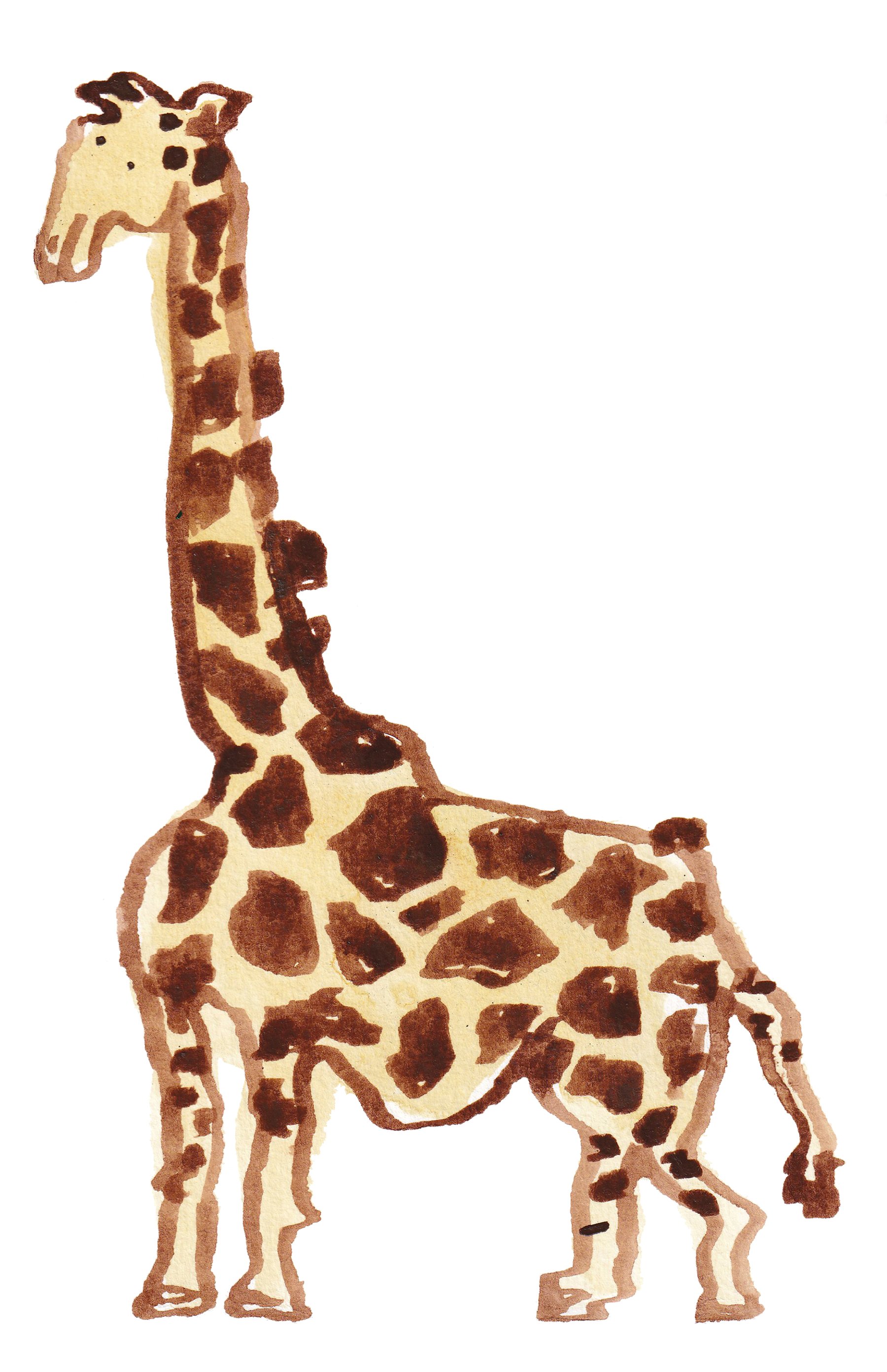 IMG_20251010_0012 copy.jpeg