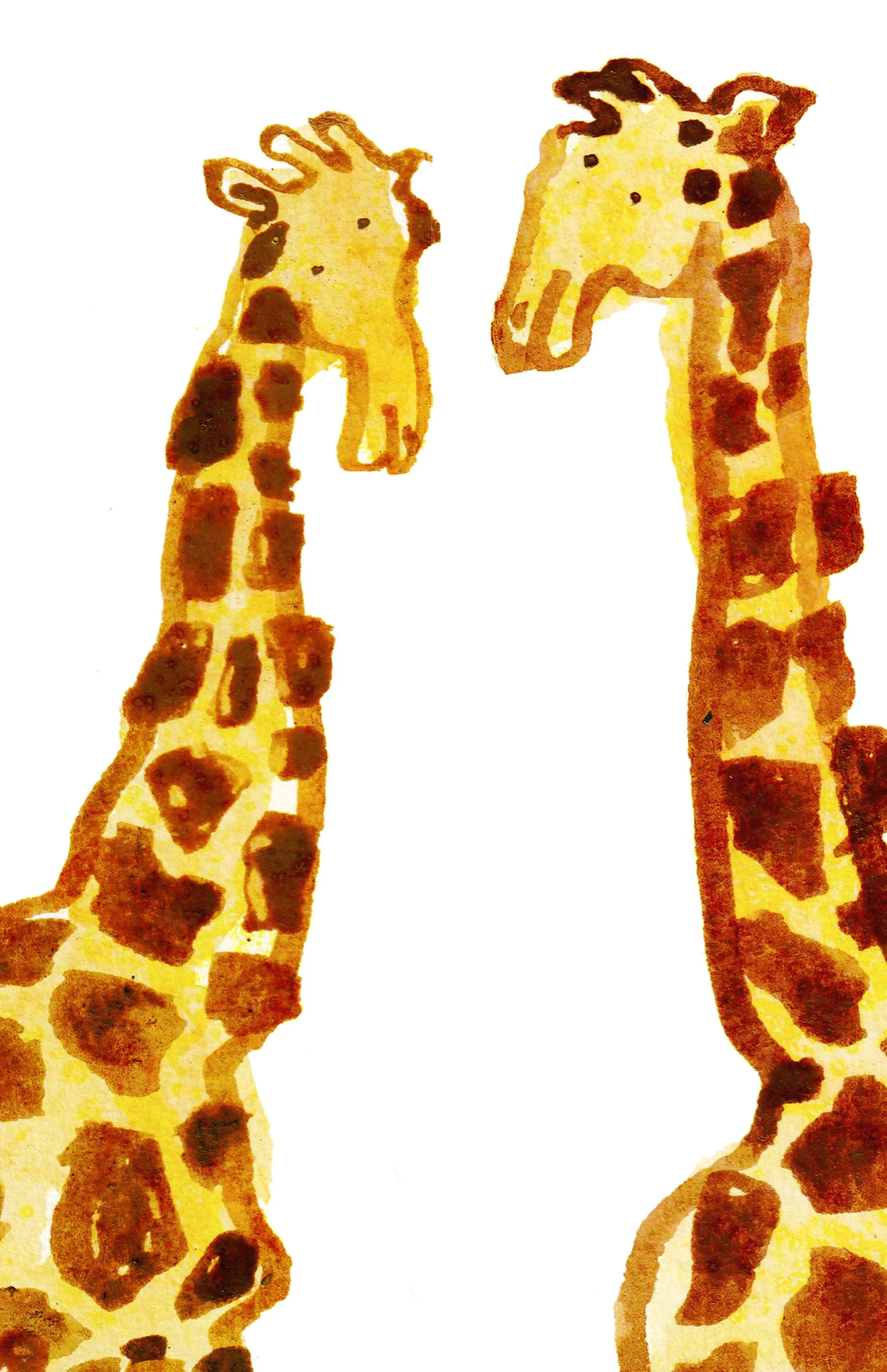 IMG_20251010_0012 copy (1).jpeg