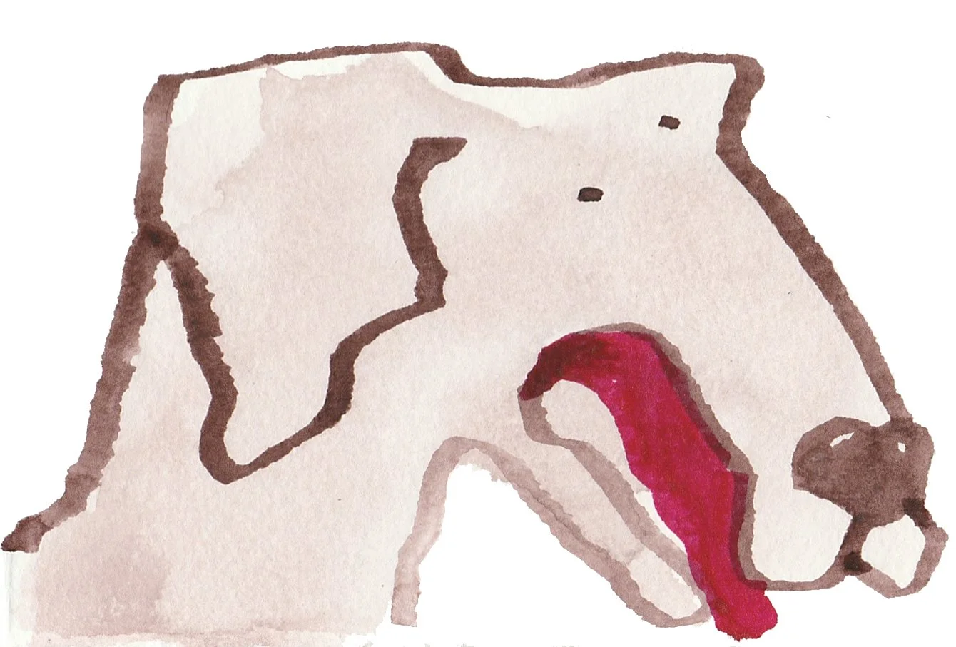 dog portrait edit.jpg