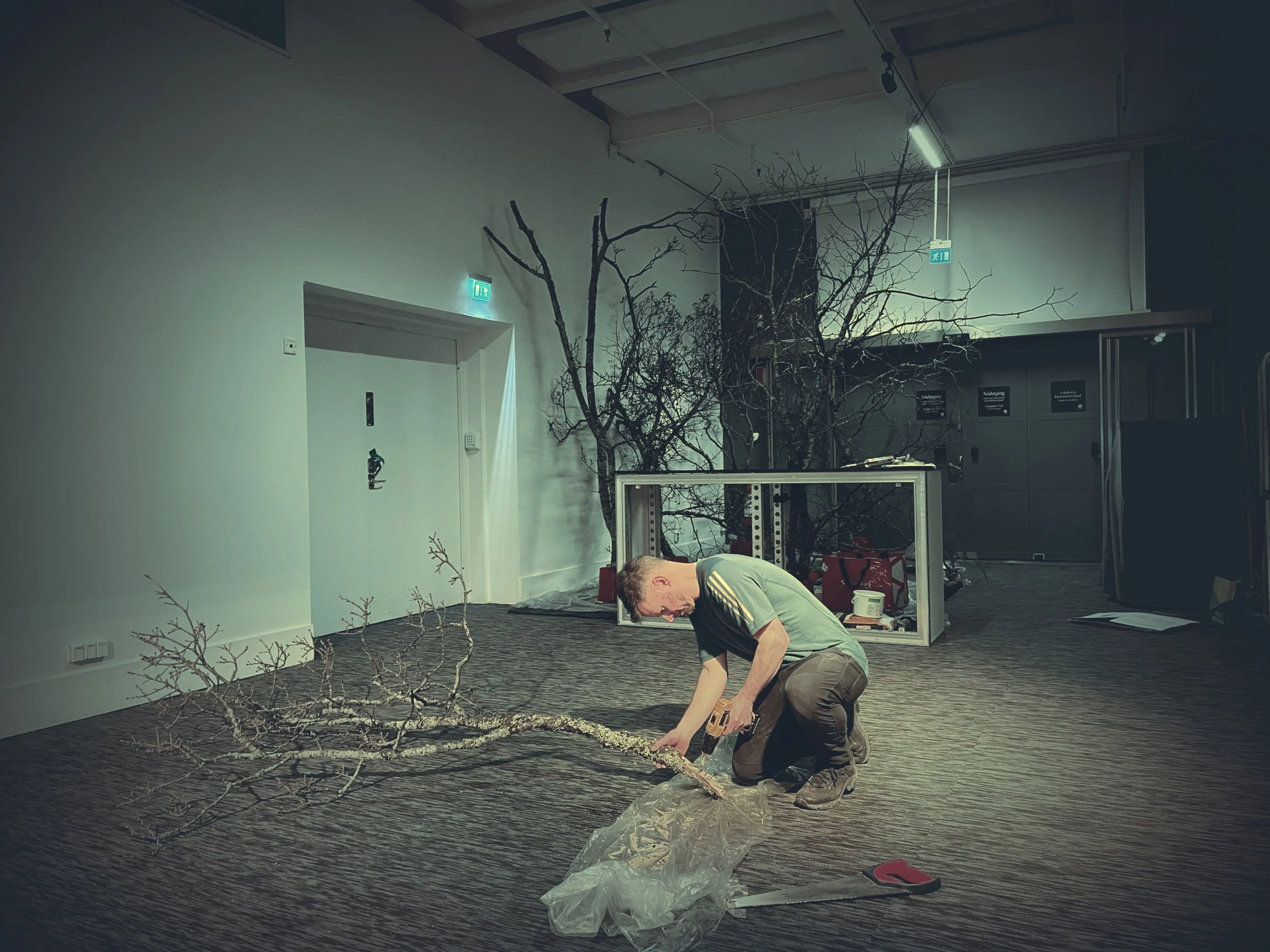 Fotografiska "In Bloom" exhibition John Young
