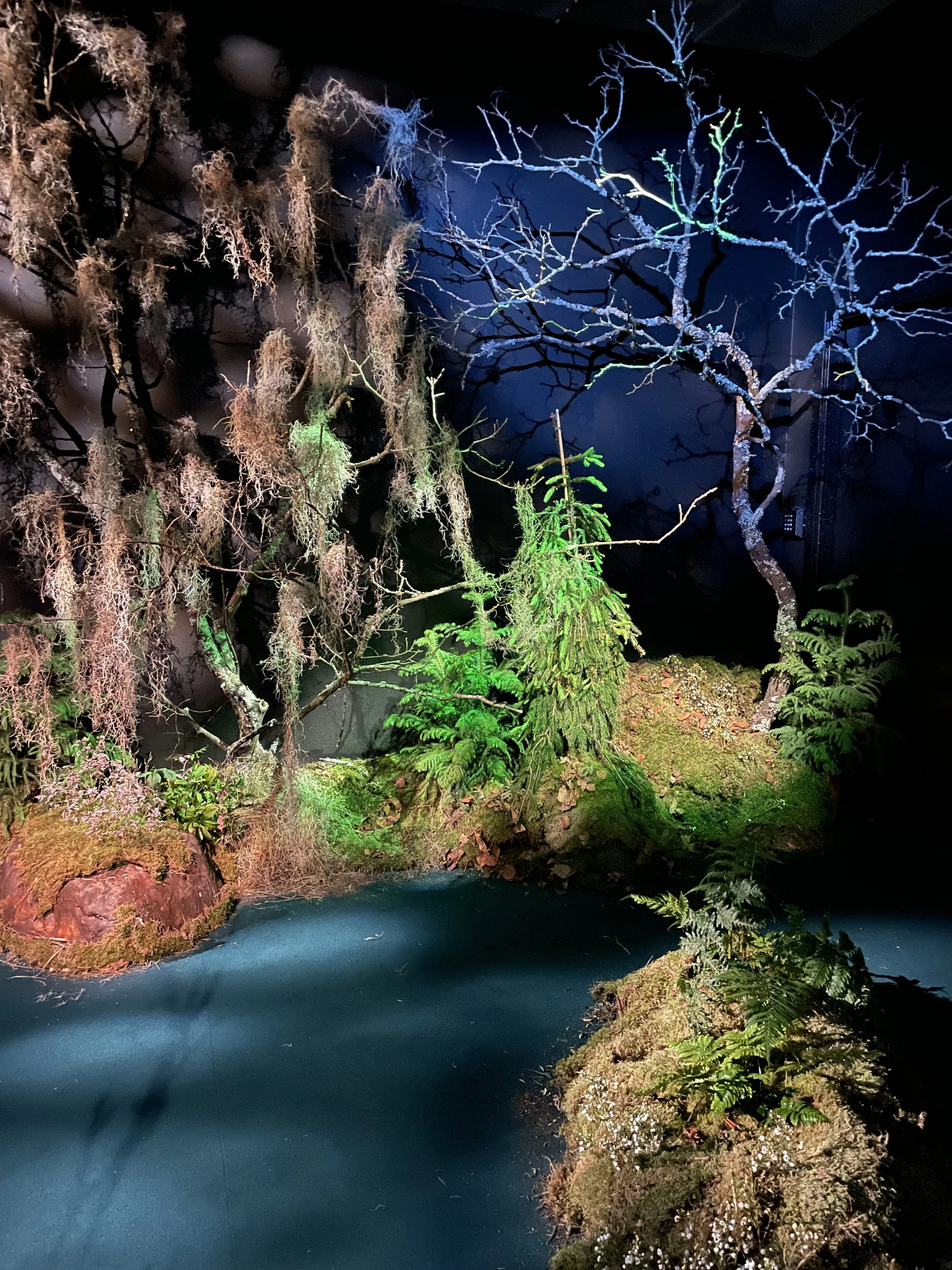Fotografiska "In Bloom" exhibition