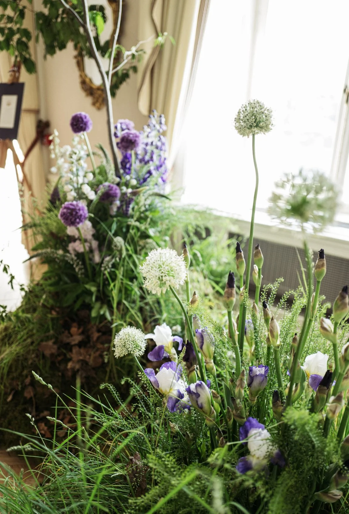 Allium, delphinium, veronica