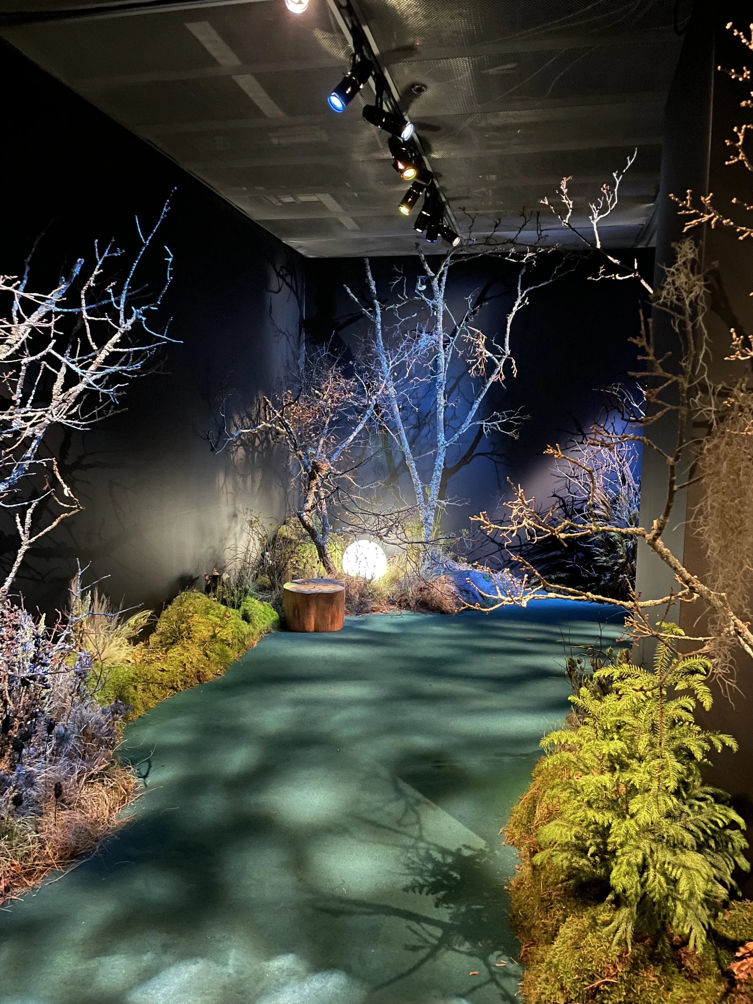 Fotografiska "In Bloom" exhibition
