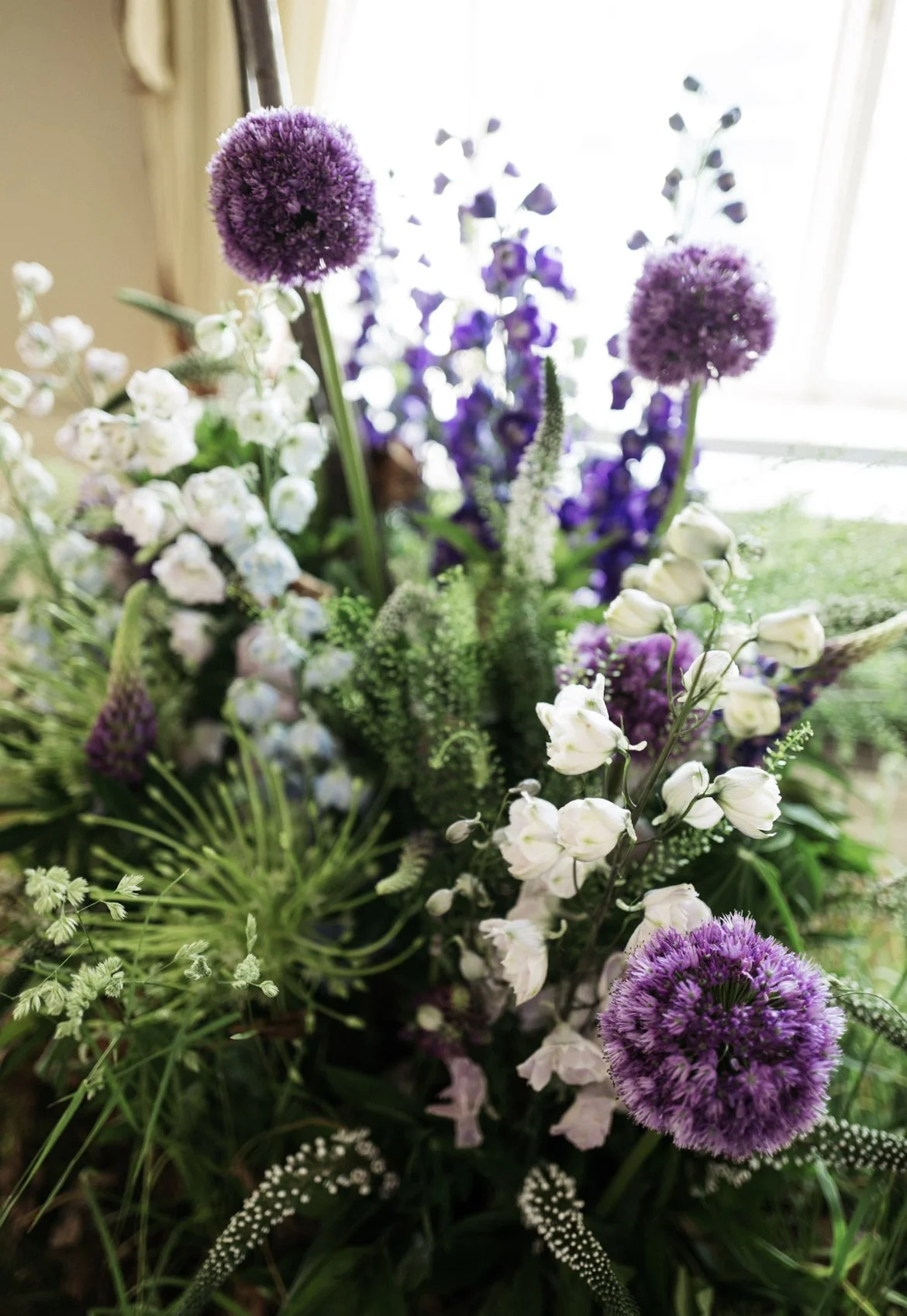 Allium, delphinium, veronica