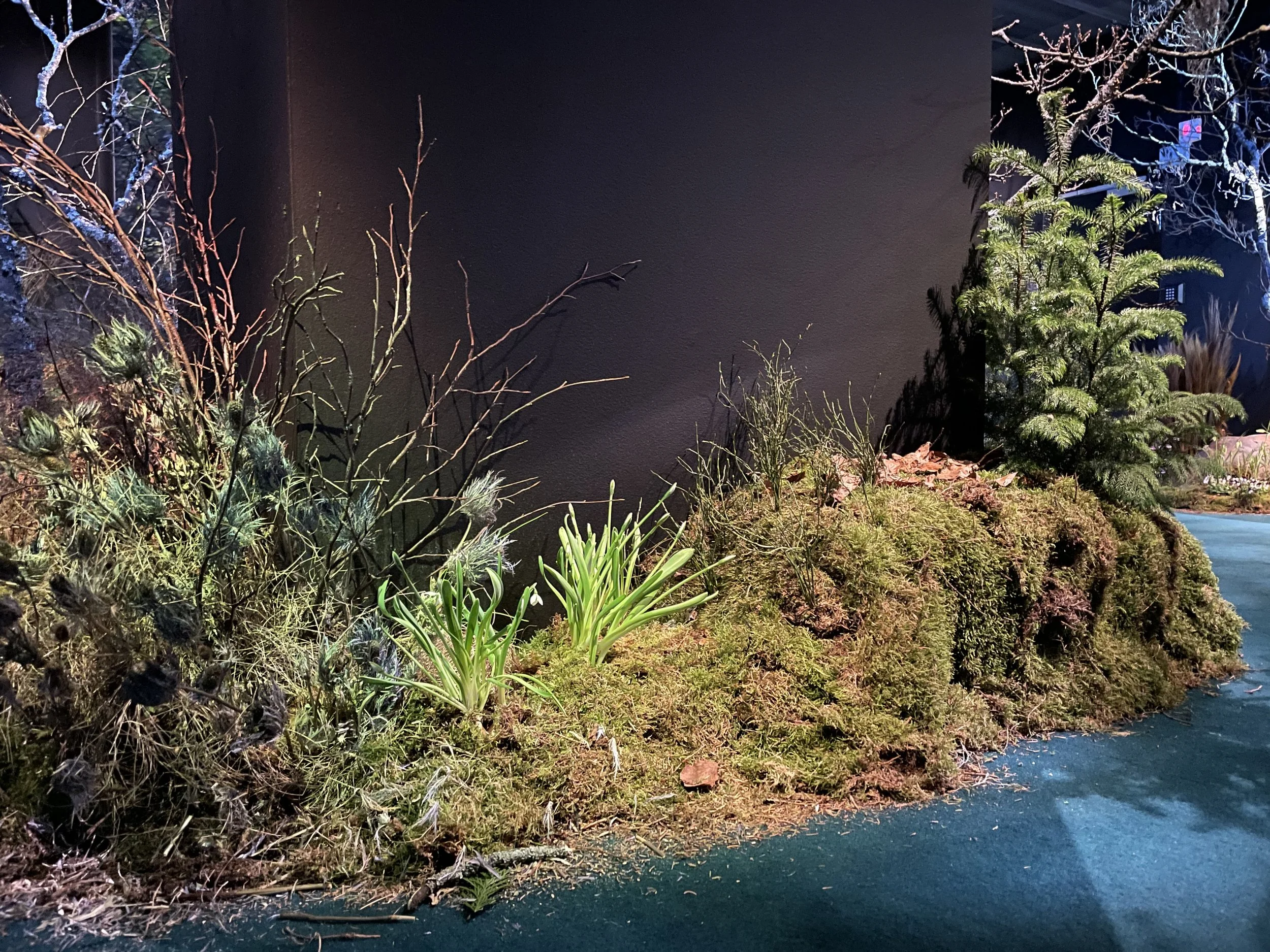 Fotografiska "In Bloom" exhibition