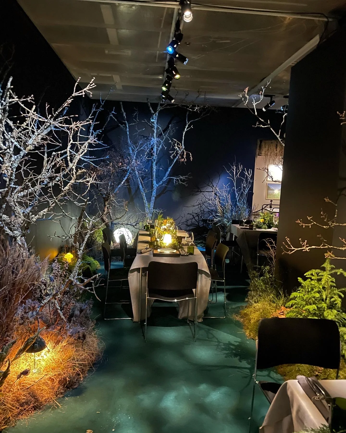 Fotografiska "In Bloom" exhibition