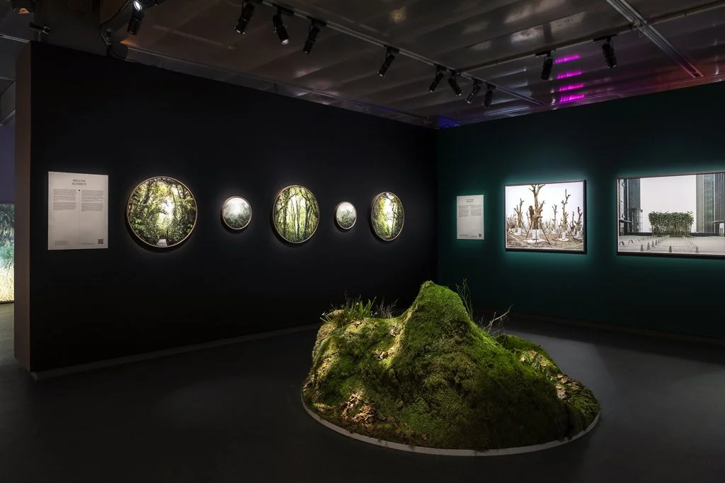 Exhibition Installation in Stockholm designed by John Young Florals for Fotografiska