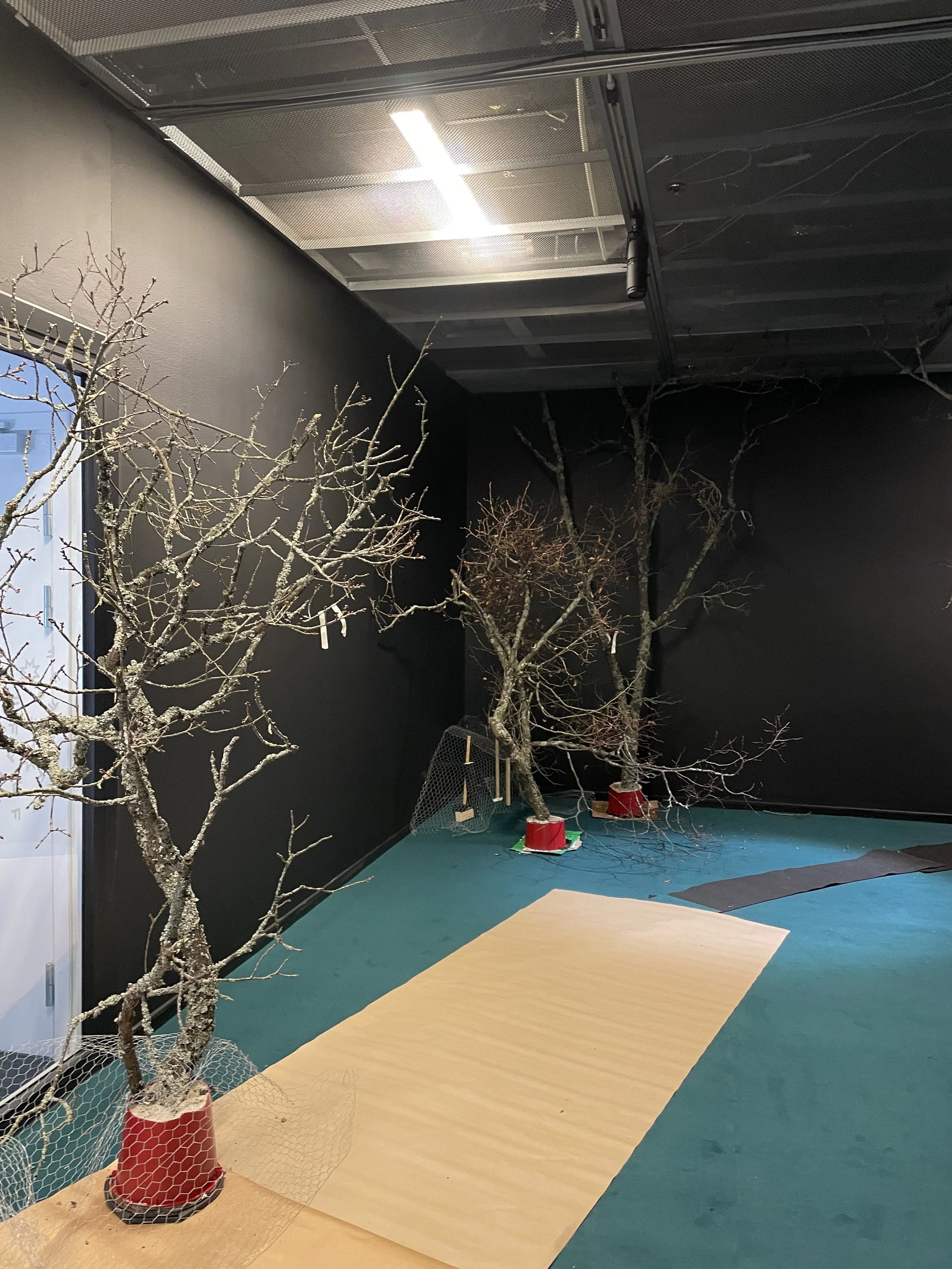 Fotografiska "In Bloom" exhibition
