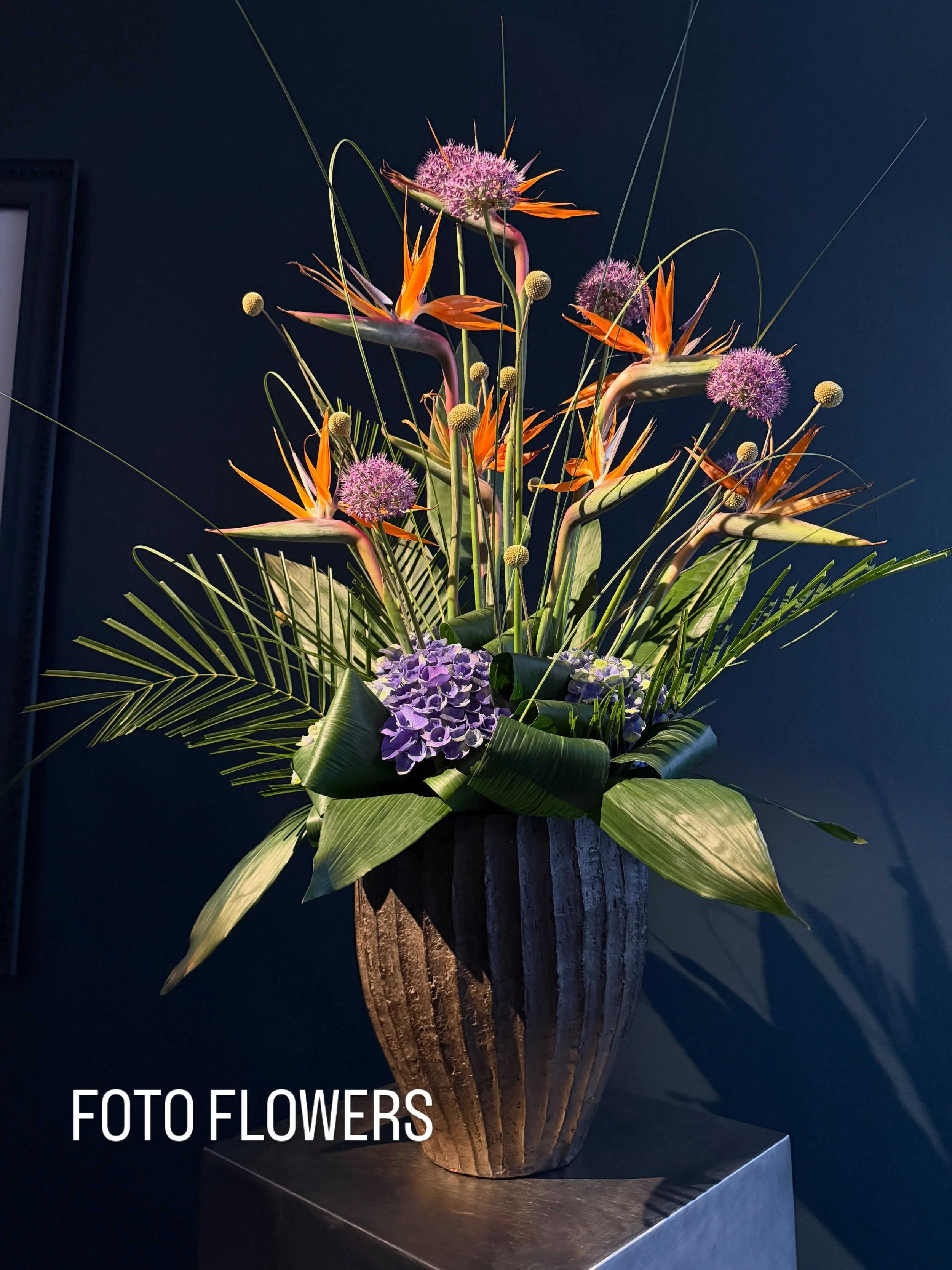 D0DAA26F-E967-49B9-8850-EE46545DD963.jpeg